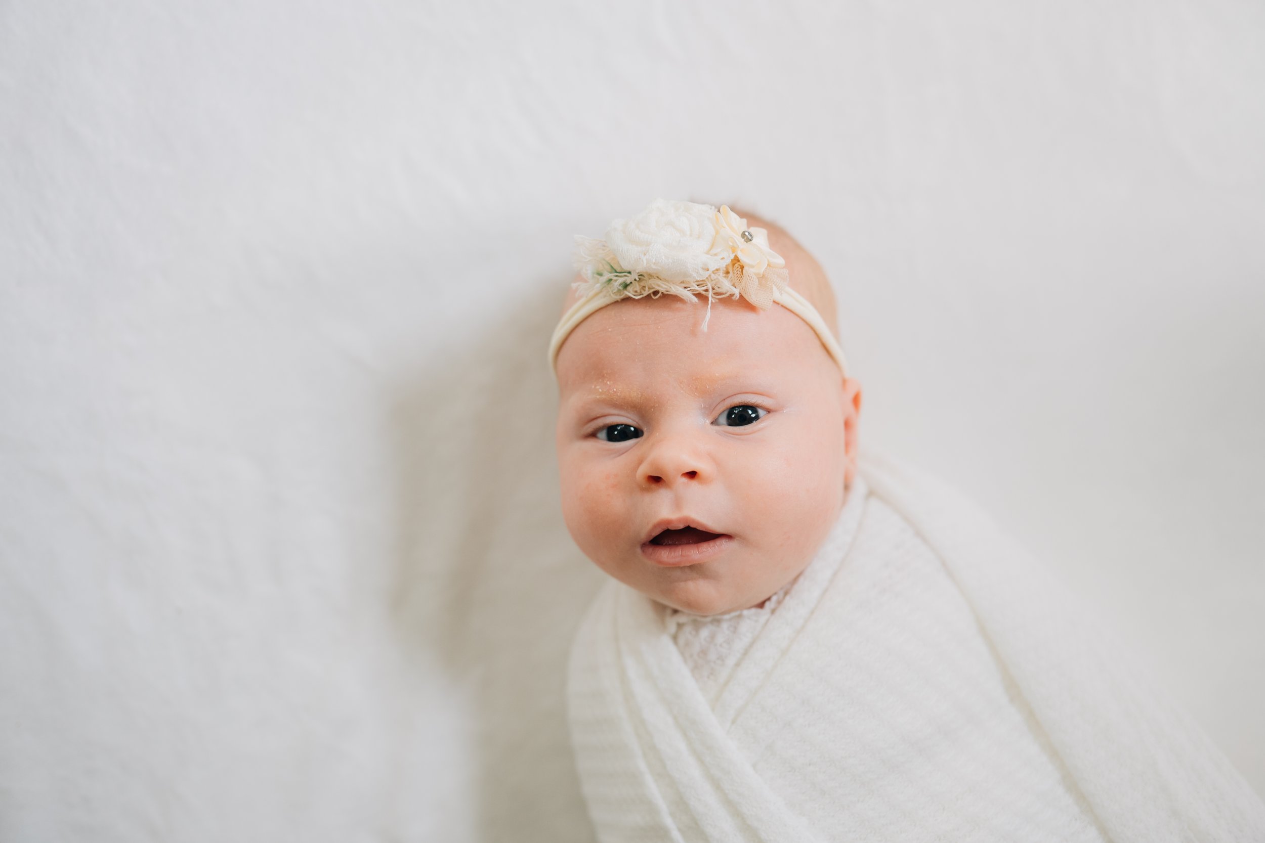 Best Baby Photographers in Greenville, SC | In-Home Newborn Session