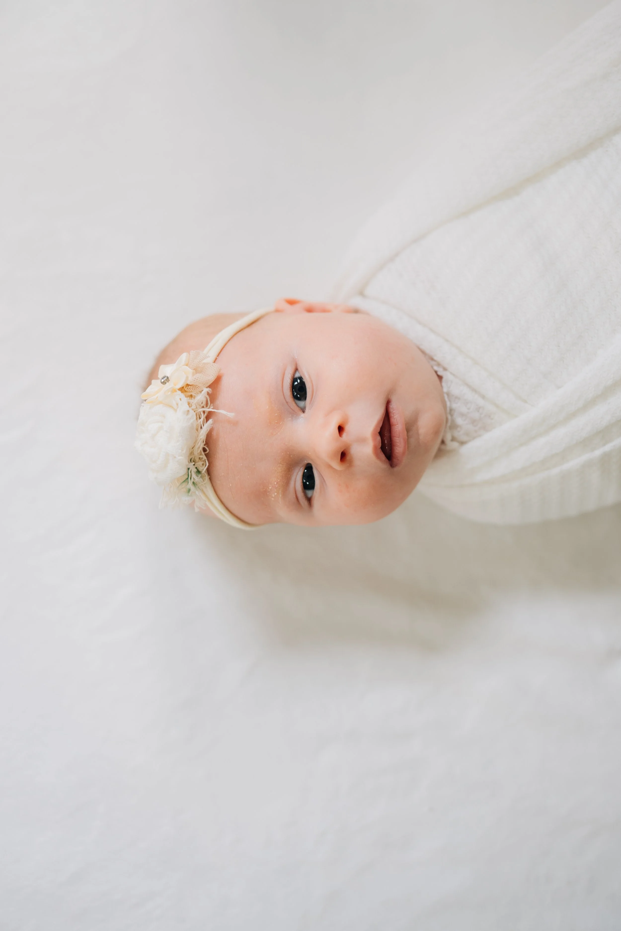 Best Baby Photographers in Greenville, SC | In-Home Newborn Session