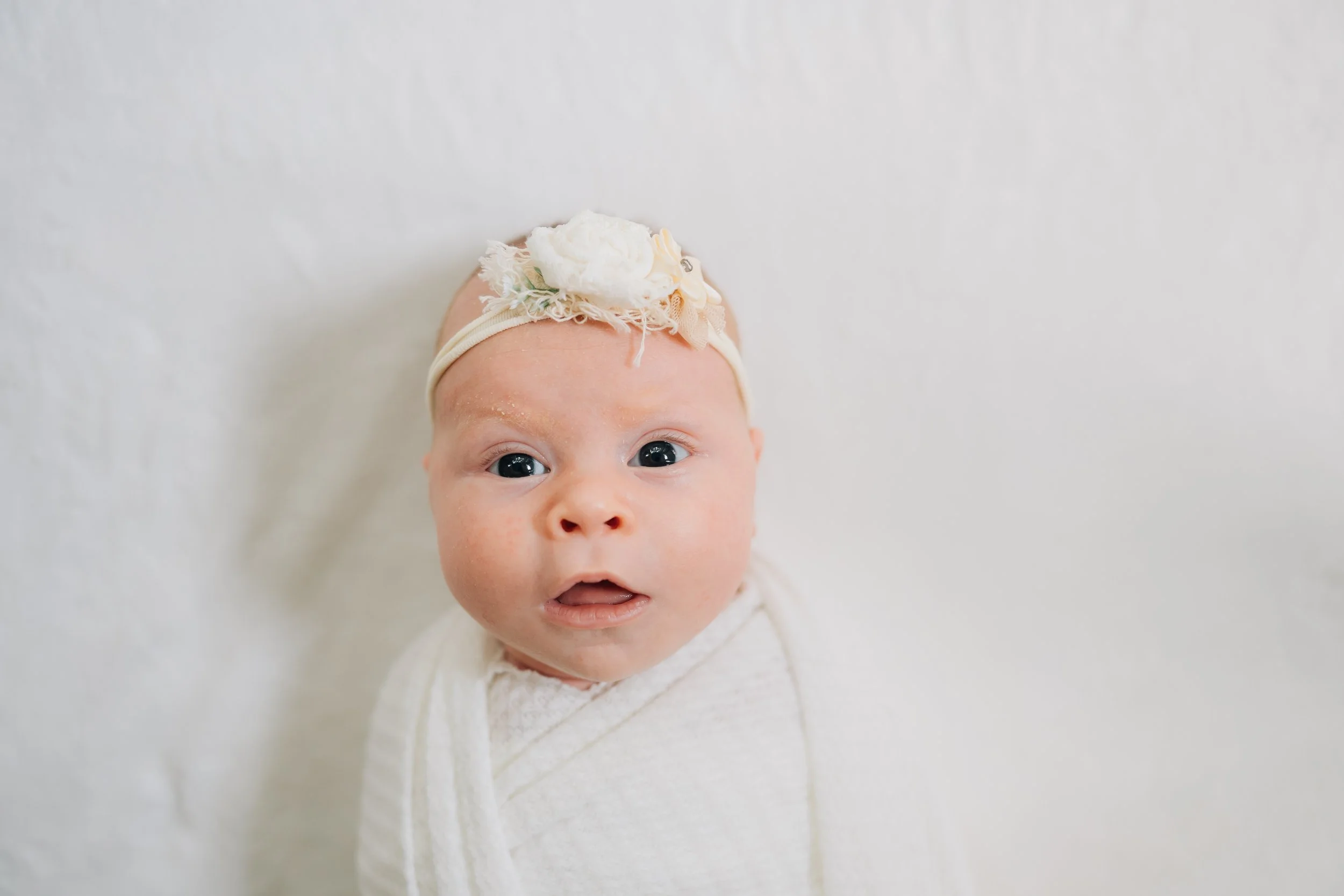 Best Baby Photographers in Greenville, SC | In-Home Newborn Session