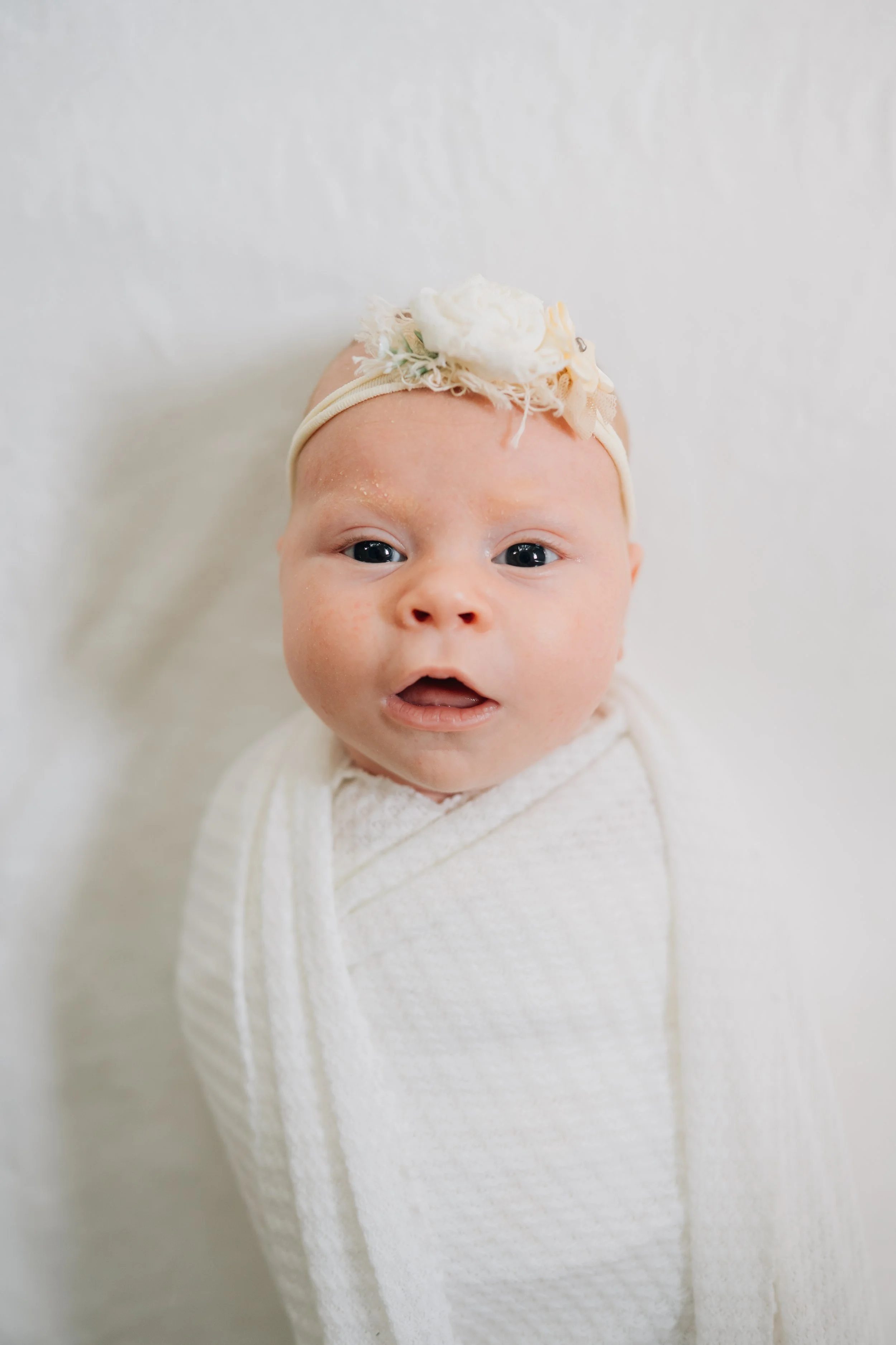 Best Baby Photographers in Greenville, SC | In-Home Newborn Session