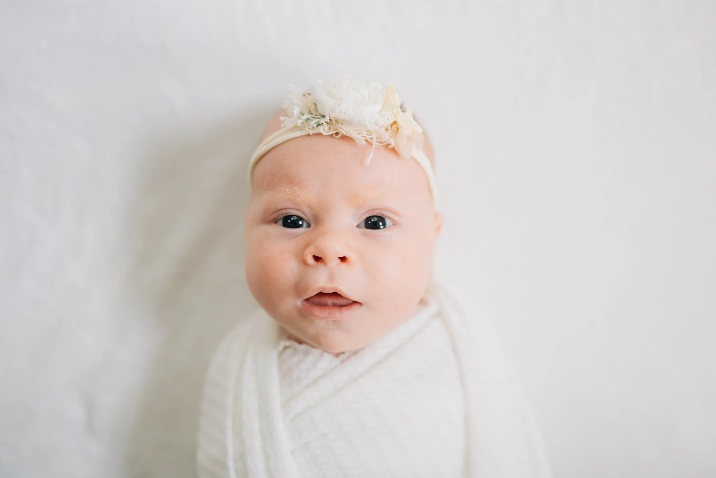 Best Baby Photographers in Greenville, SC | In-Home Newborn Session