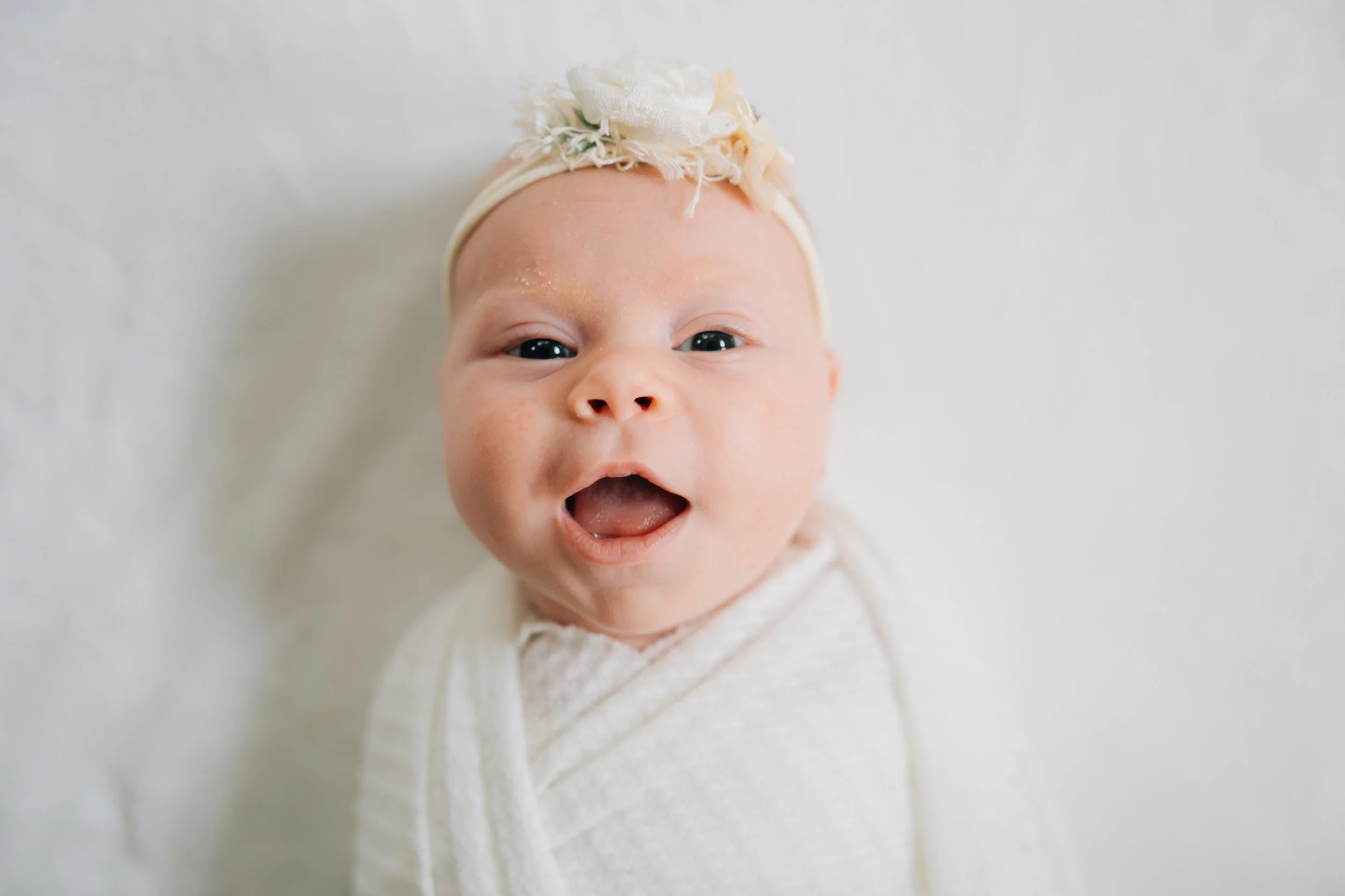 Best Baby Photographers in Greenville, SC | In-Home Newborn Session