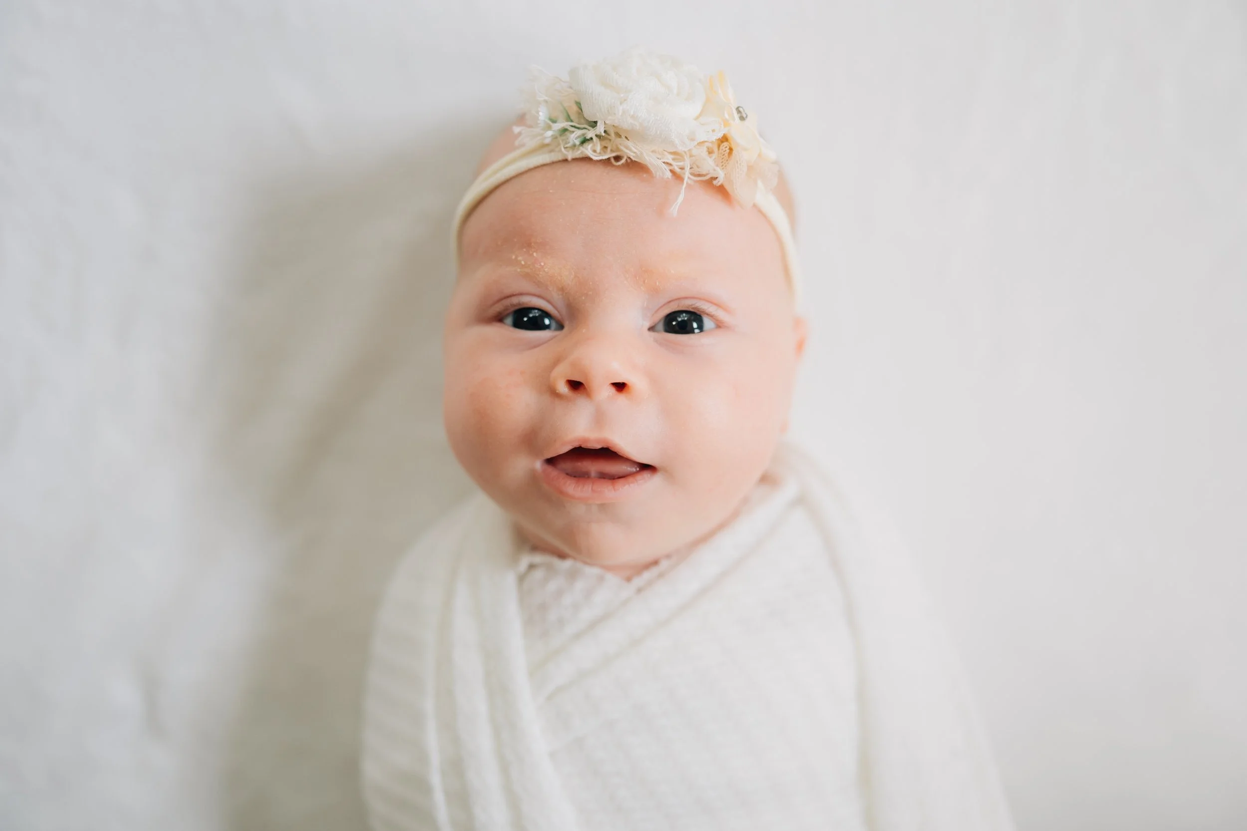 Best Baby Photographers in Greenville, SC | In-Home Newborn Session