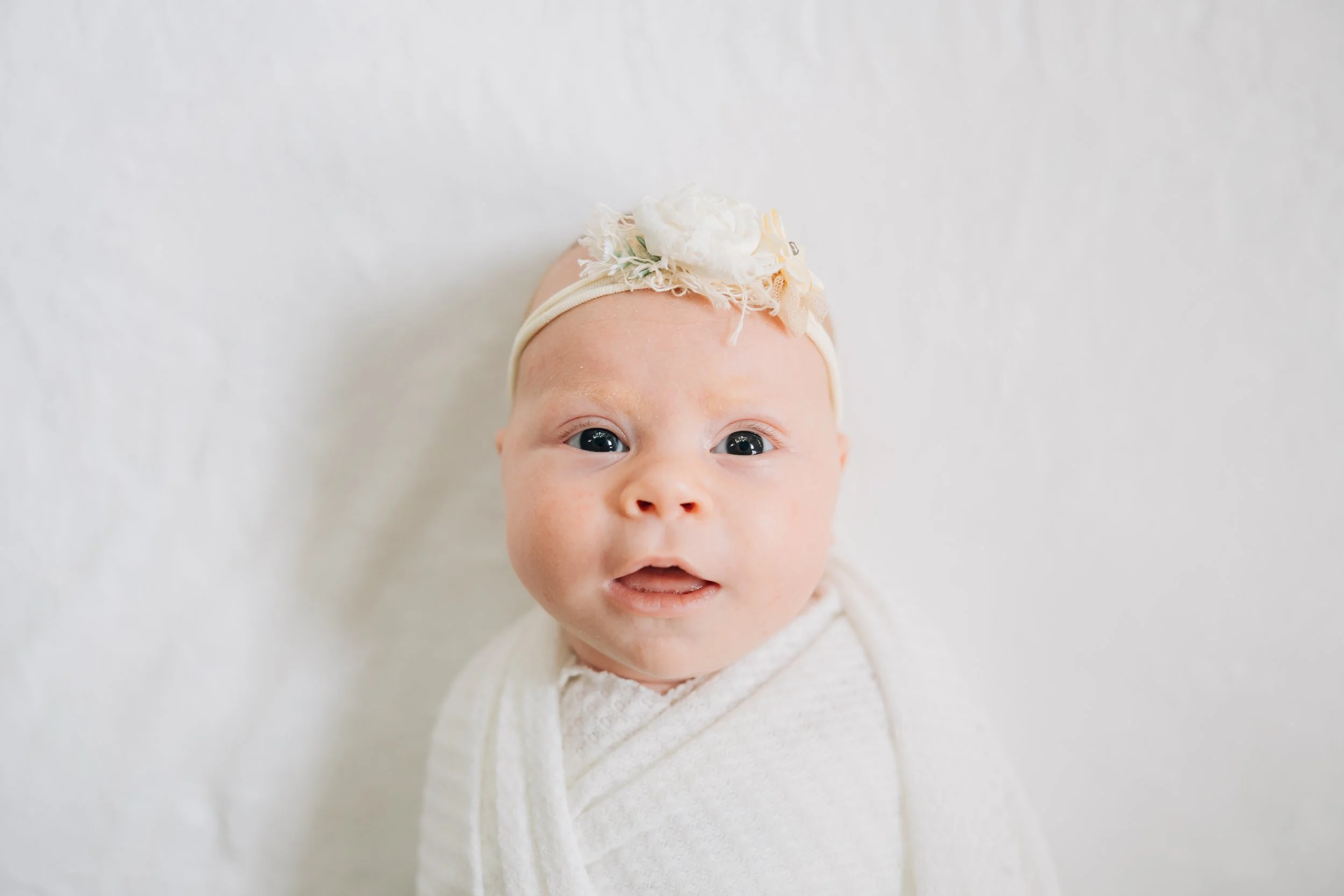 Best Baby Photographers in Greenville, SC | In-Home Newborn Session