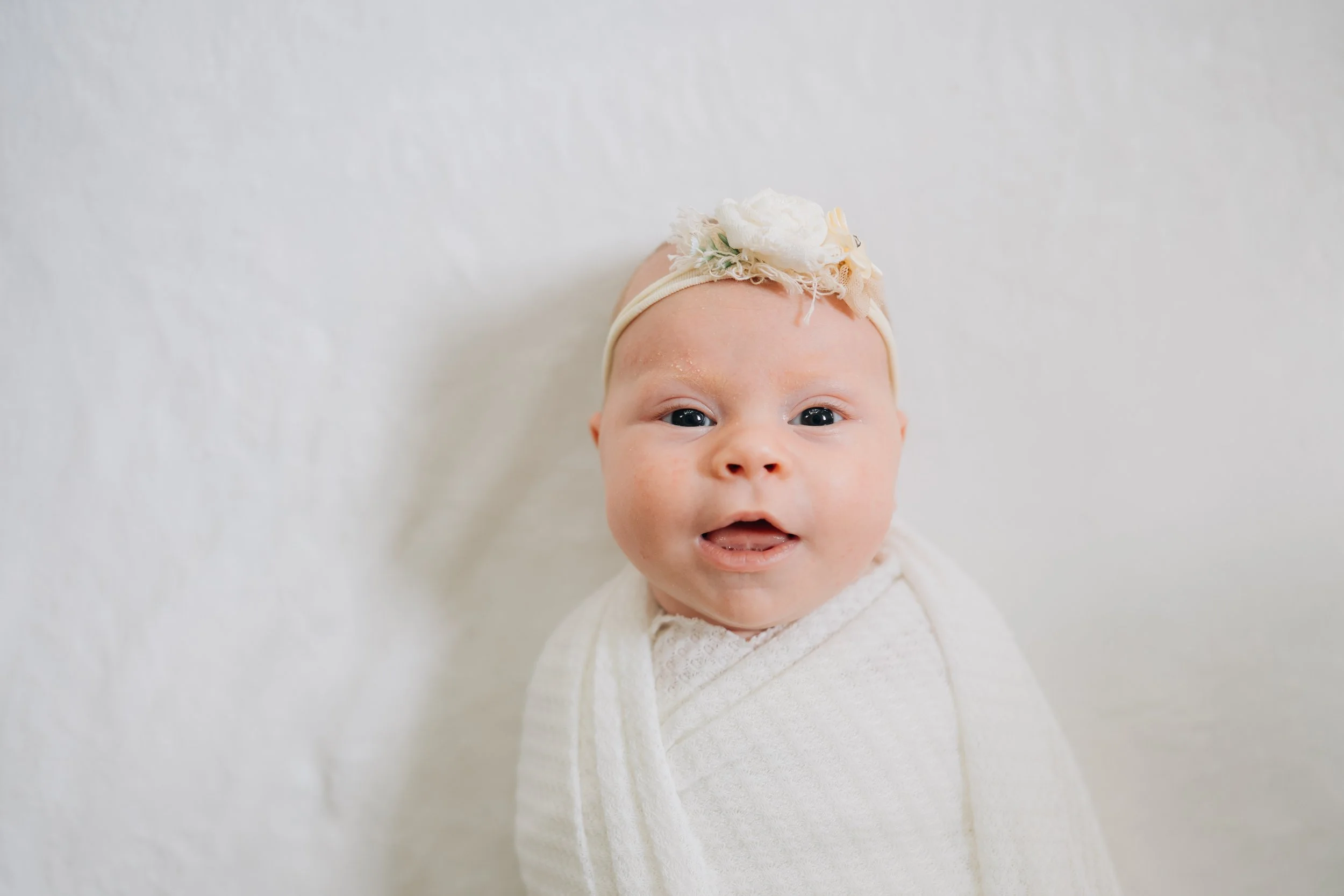 Best Baby Photographers in Greenville, SC | In-Home Newborn Session