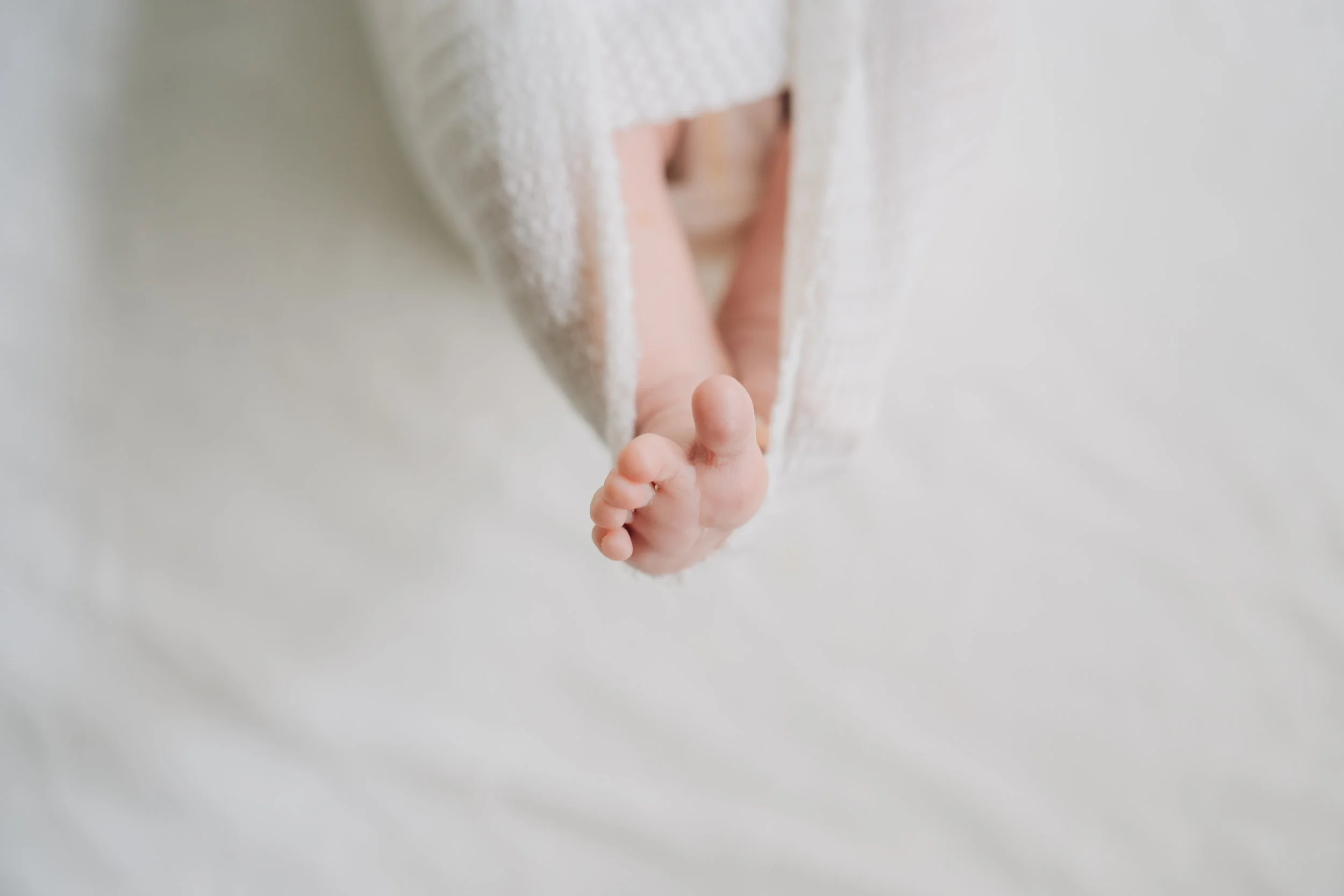 Best Baby Photographers in Greenville, SC | In-Home Newborn Session