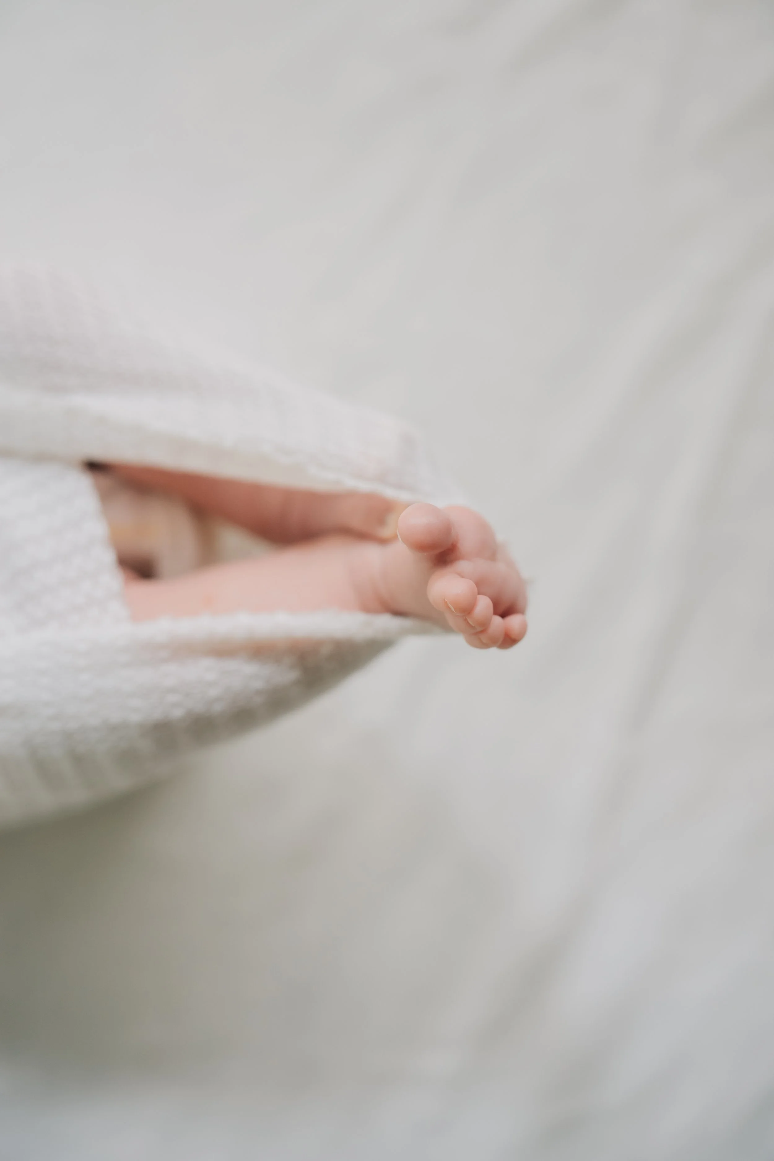 Best Baby Photographers in Greenville, SC | In-Home Newborn Session