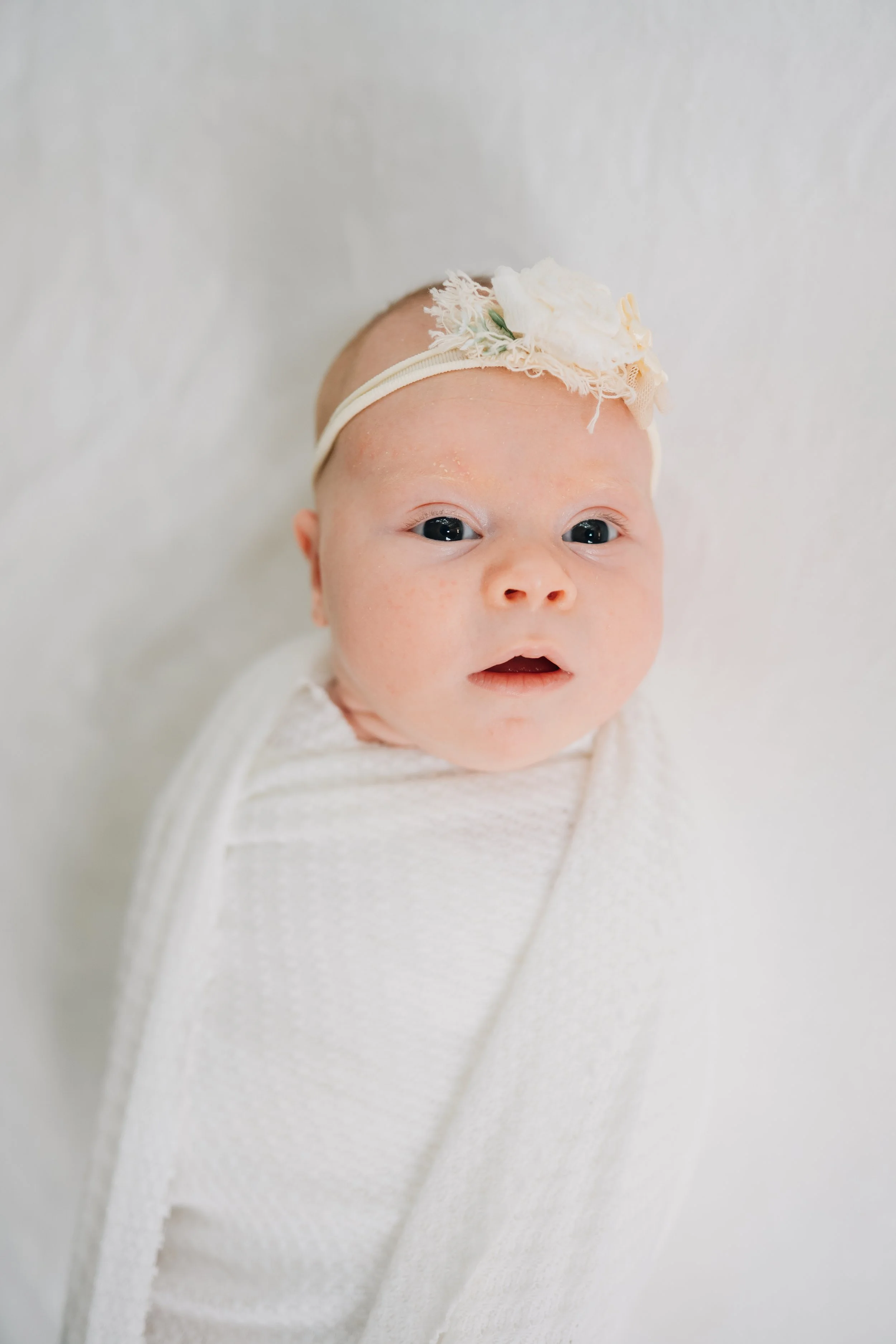 Best Baby Photographers in Greenville, SC | In-Home Newborn Session