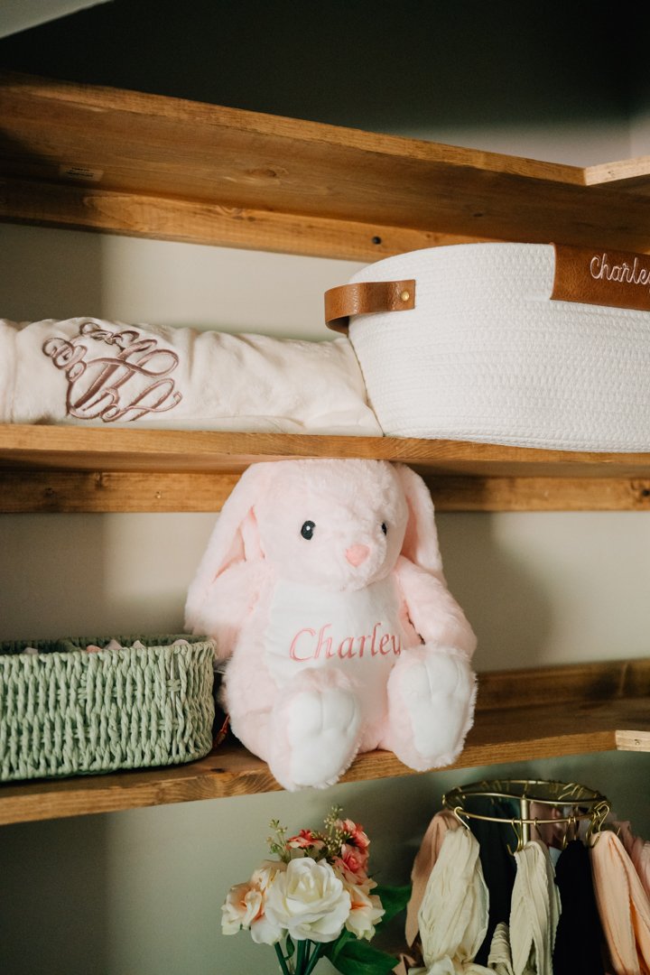 Travelers Rest In Home Newborn Photographer