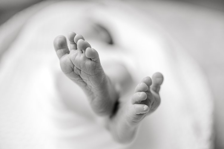 Best+Greenville,+South+Carolina+Newborn+Photographers+for+In+home+newborn+sessions-4847-2 (1).jpg