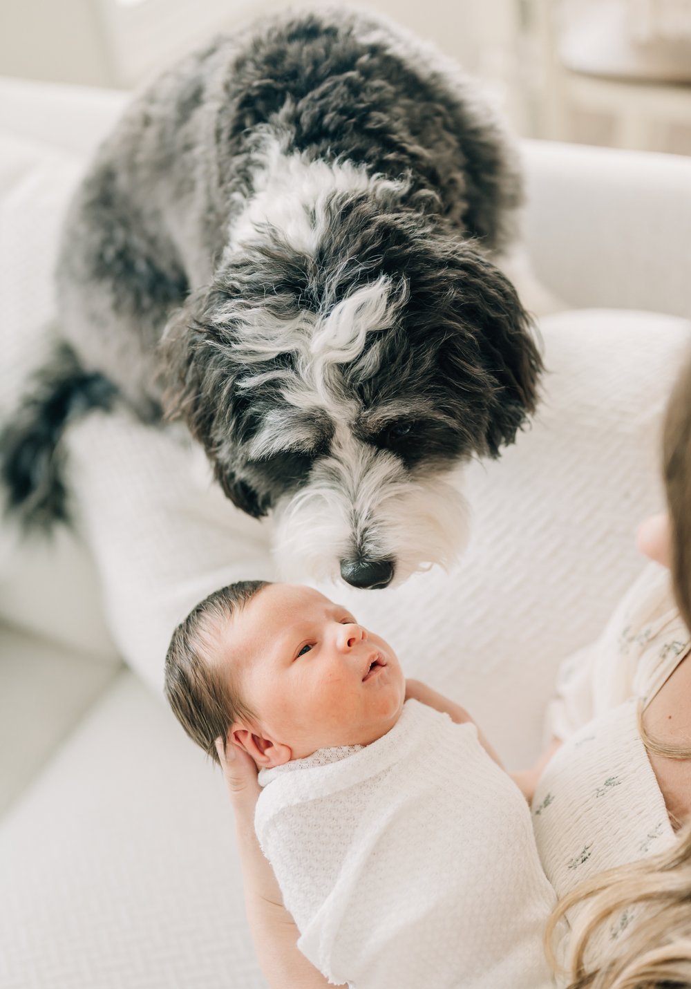 In+Home+Newborn+Photographers+in+Greenville,+South+Carolina-2698.jpg