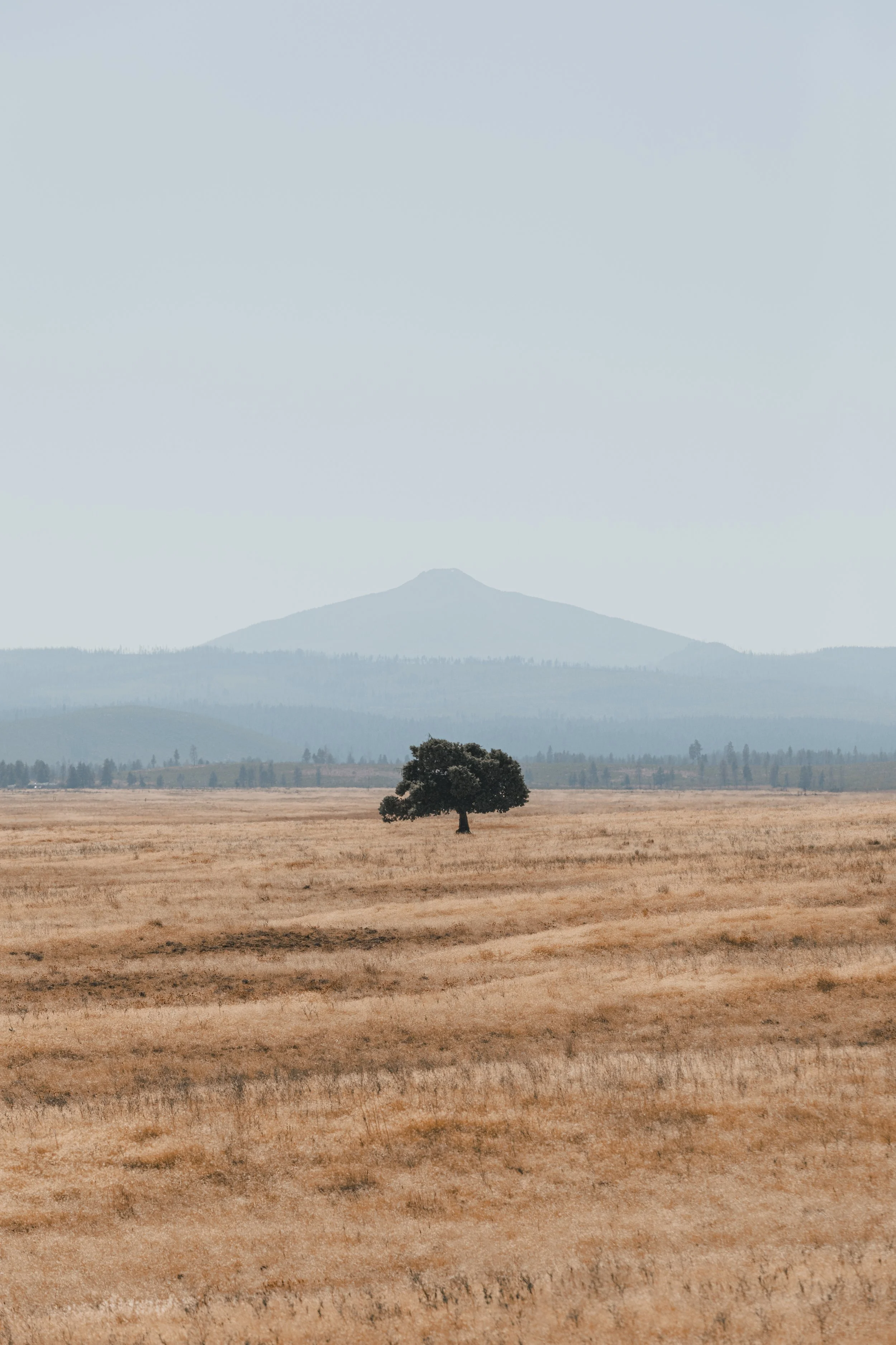 PRAIRIE VIGIL
