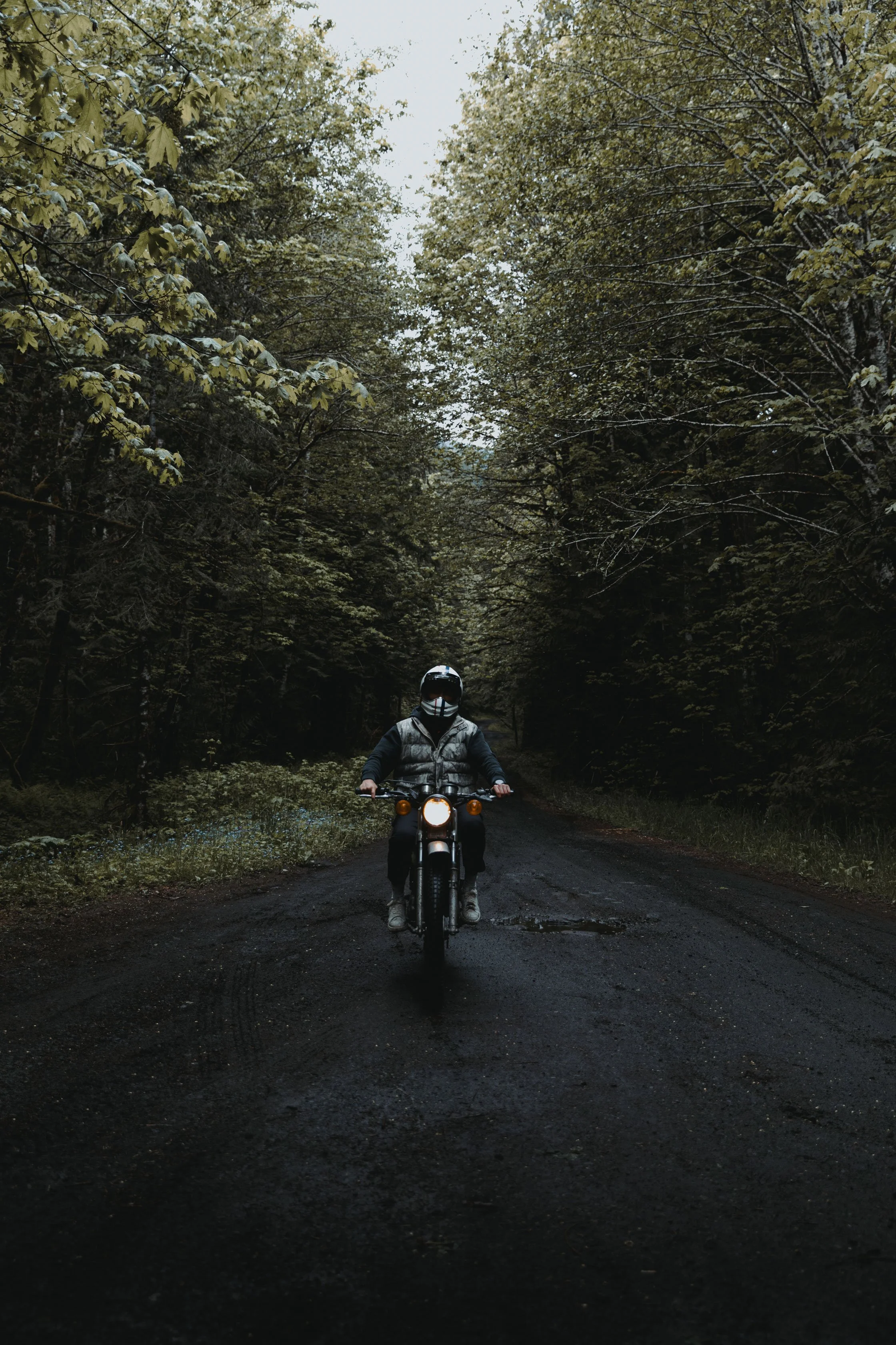 BILTWELL-SPEC4.jpg