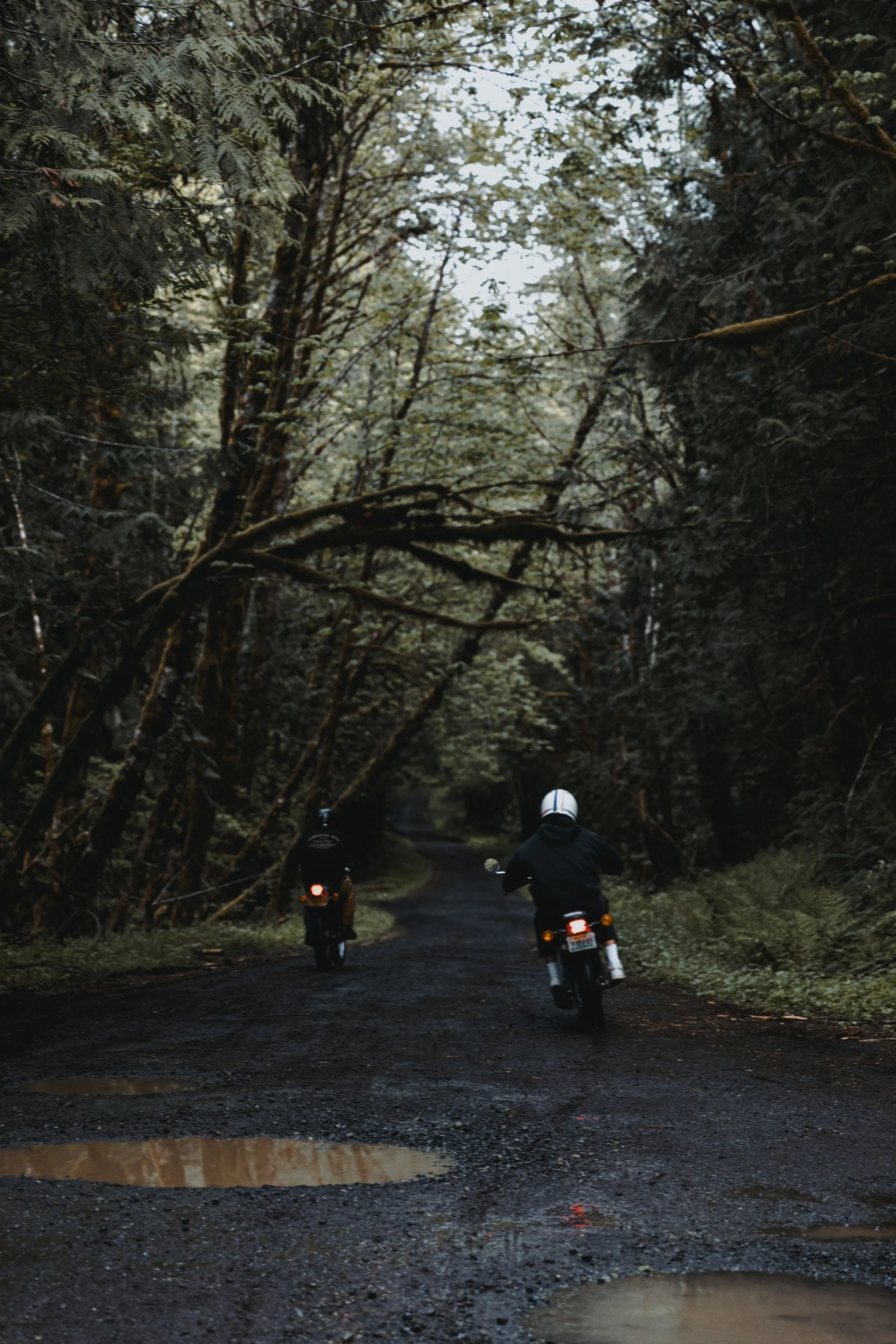 BILTWELL-SPEC7.jpg