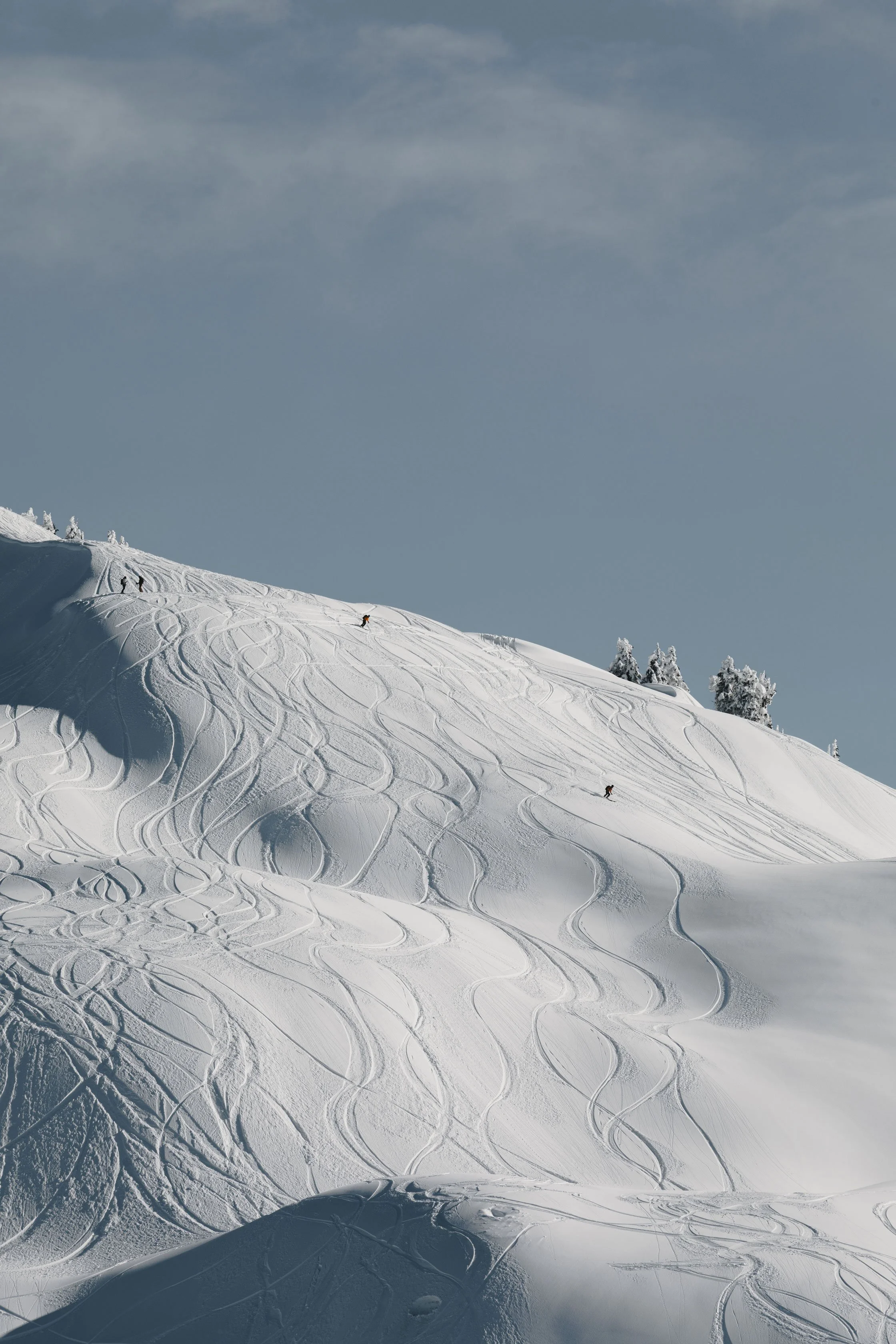 MAMMUT-SPEC5.jpg