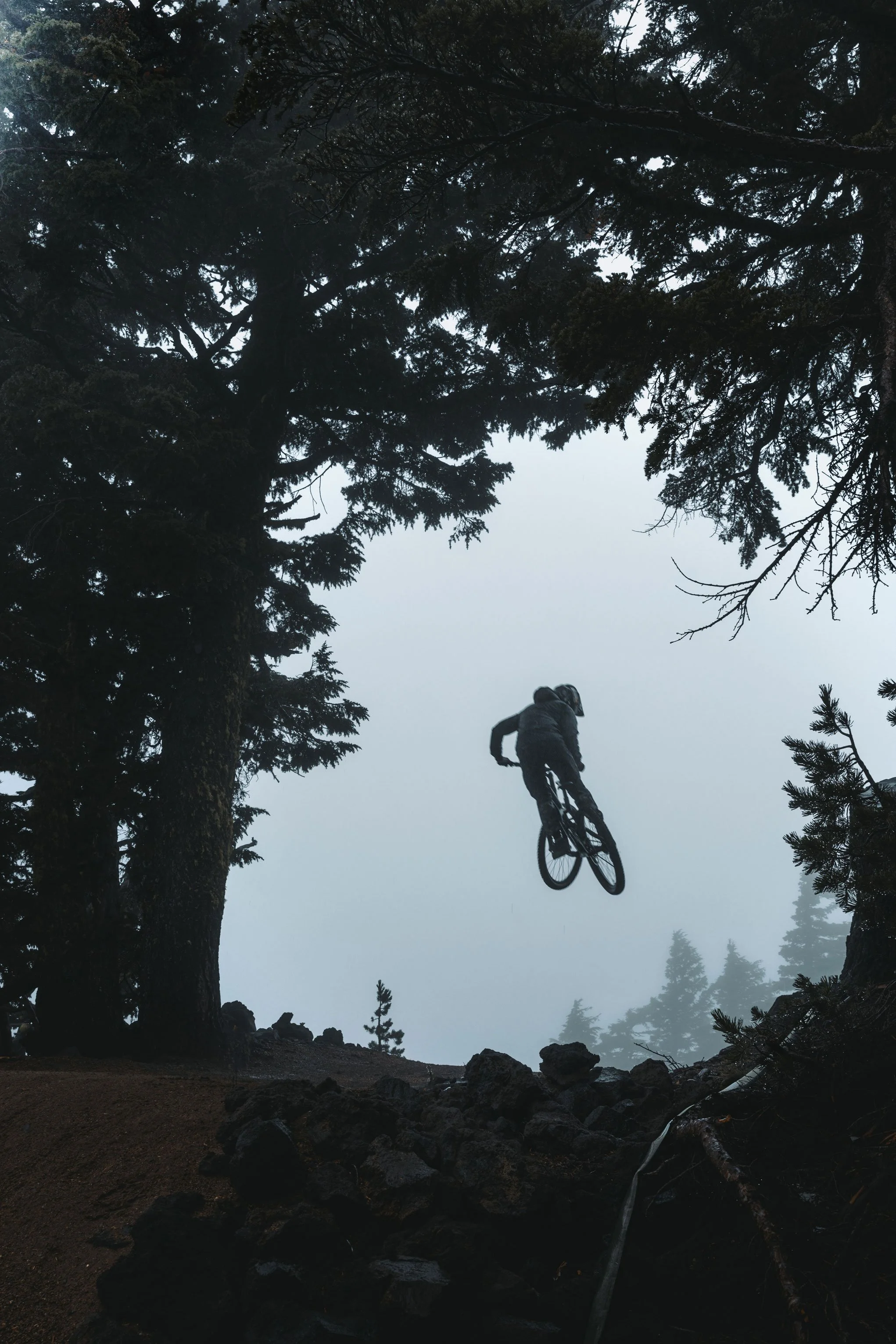 SPECIALIZED-SPEC1.jpg