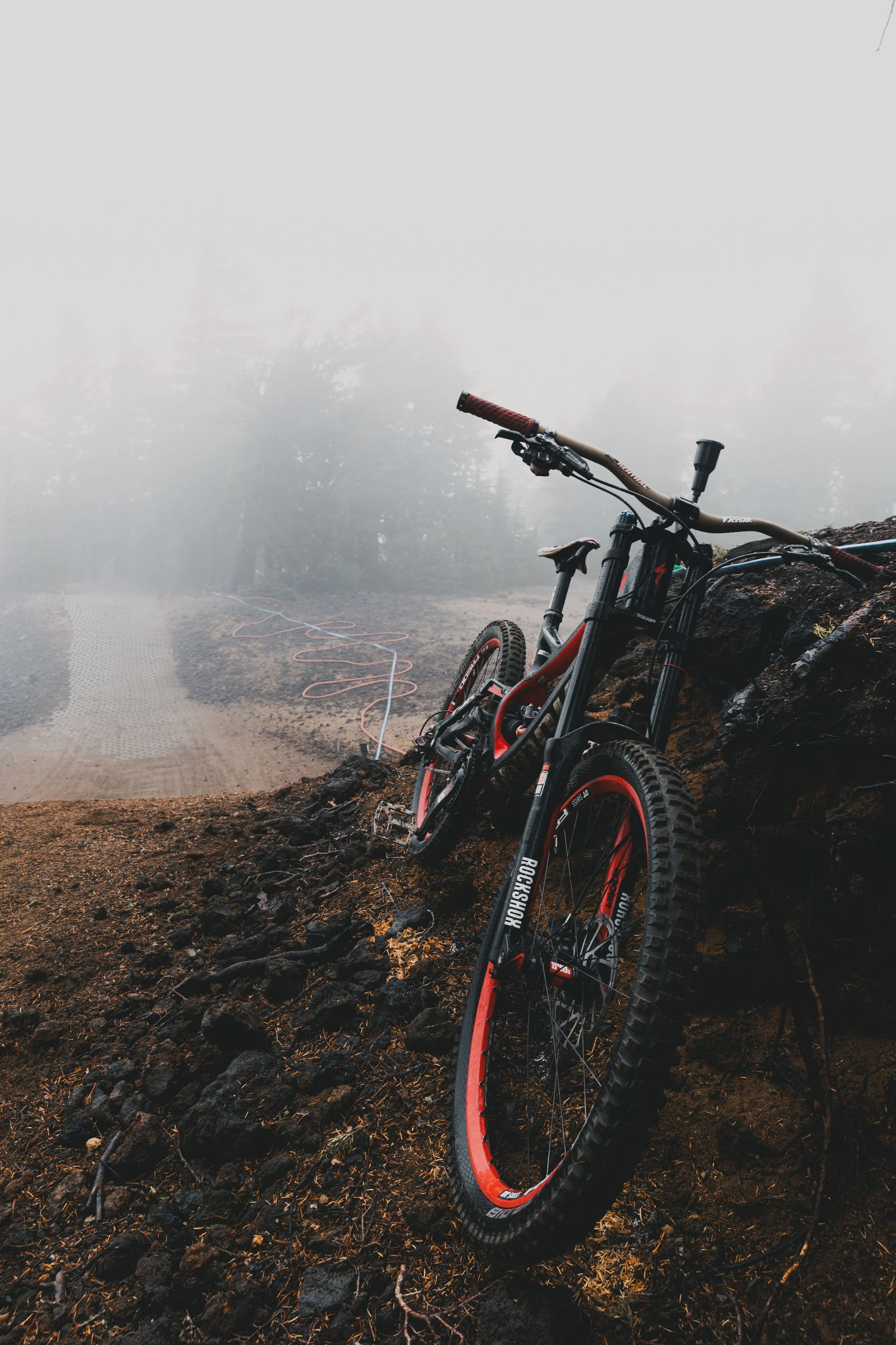 SPECIALIZED-SPEC2.jpg