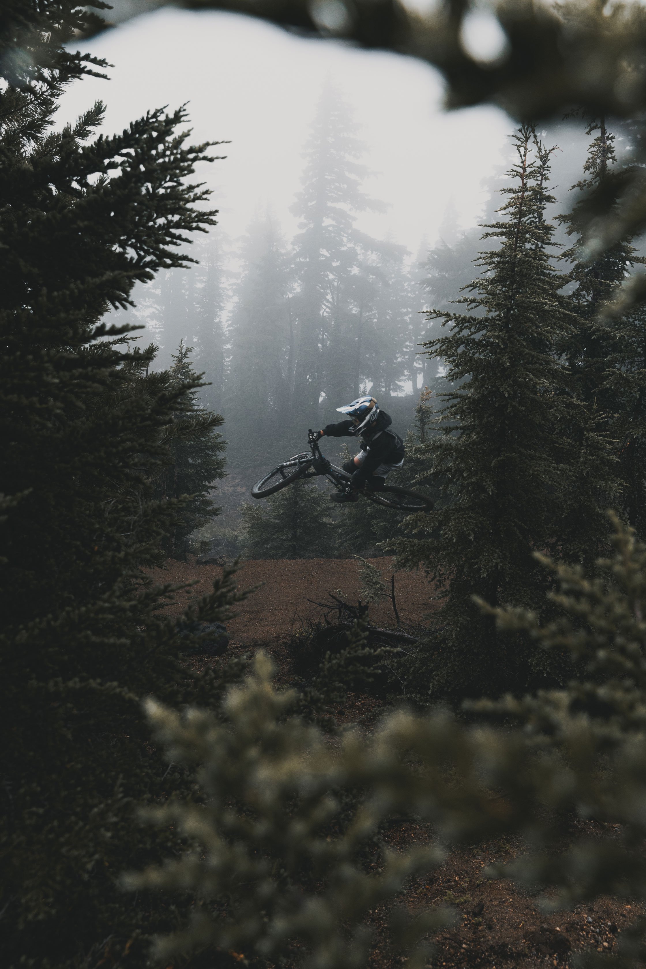 SPECIALIZED-SPEC3.jpg