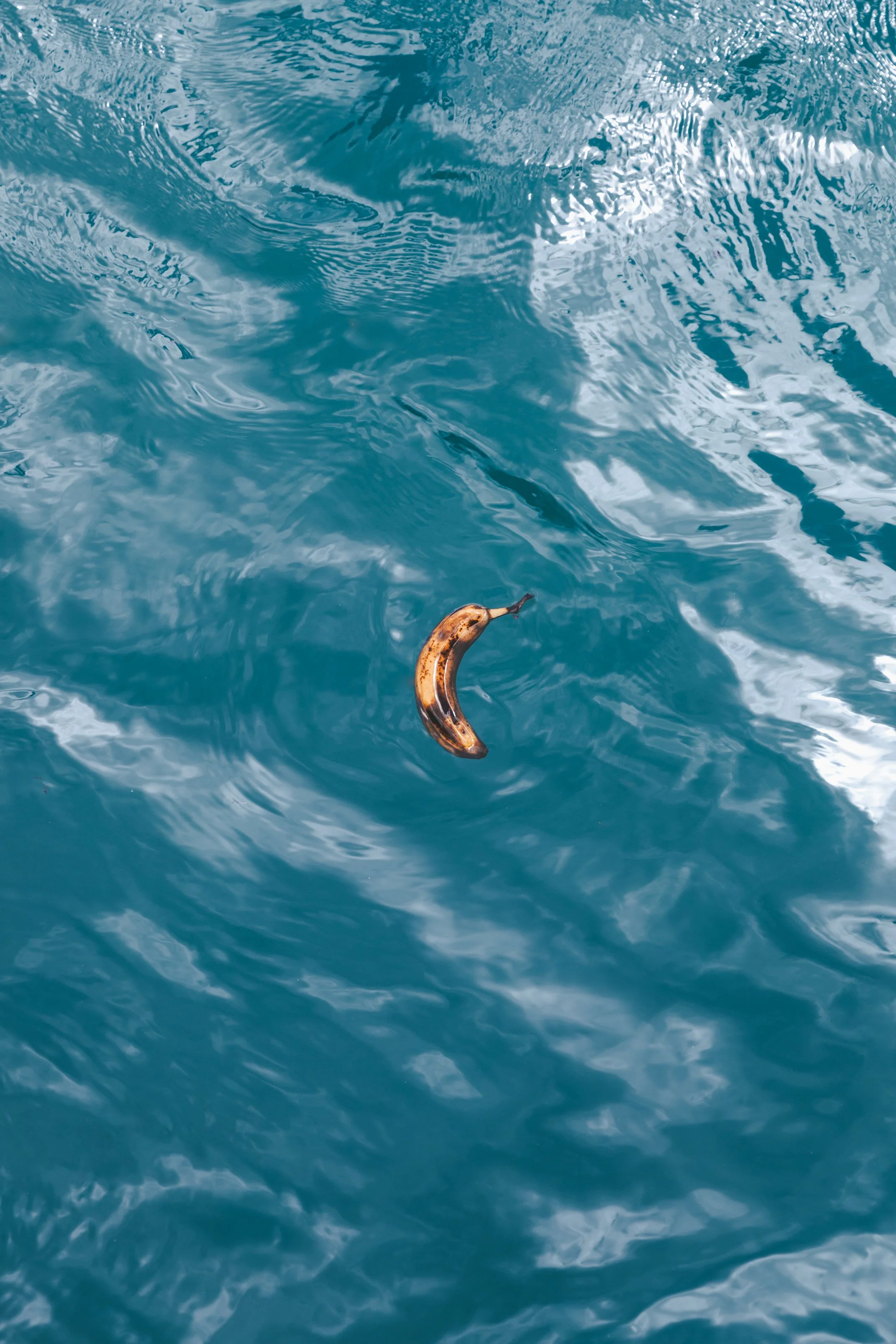 SUNBUM-SPEC3.jpg