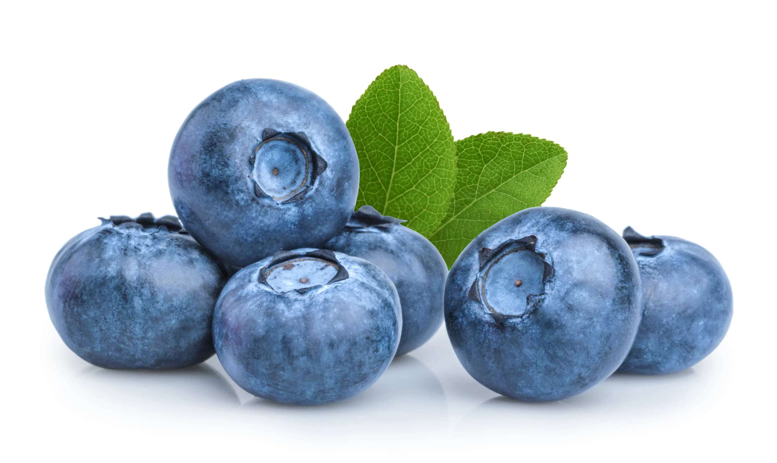 blueberry-isolated-on-white-background-853493518_4060x2420.jpeg