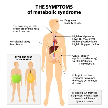 Signs-and-Symptoms-of-Metabolic-Syndrome.jpg