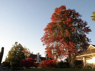 fall-2008-007.jpg