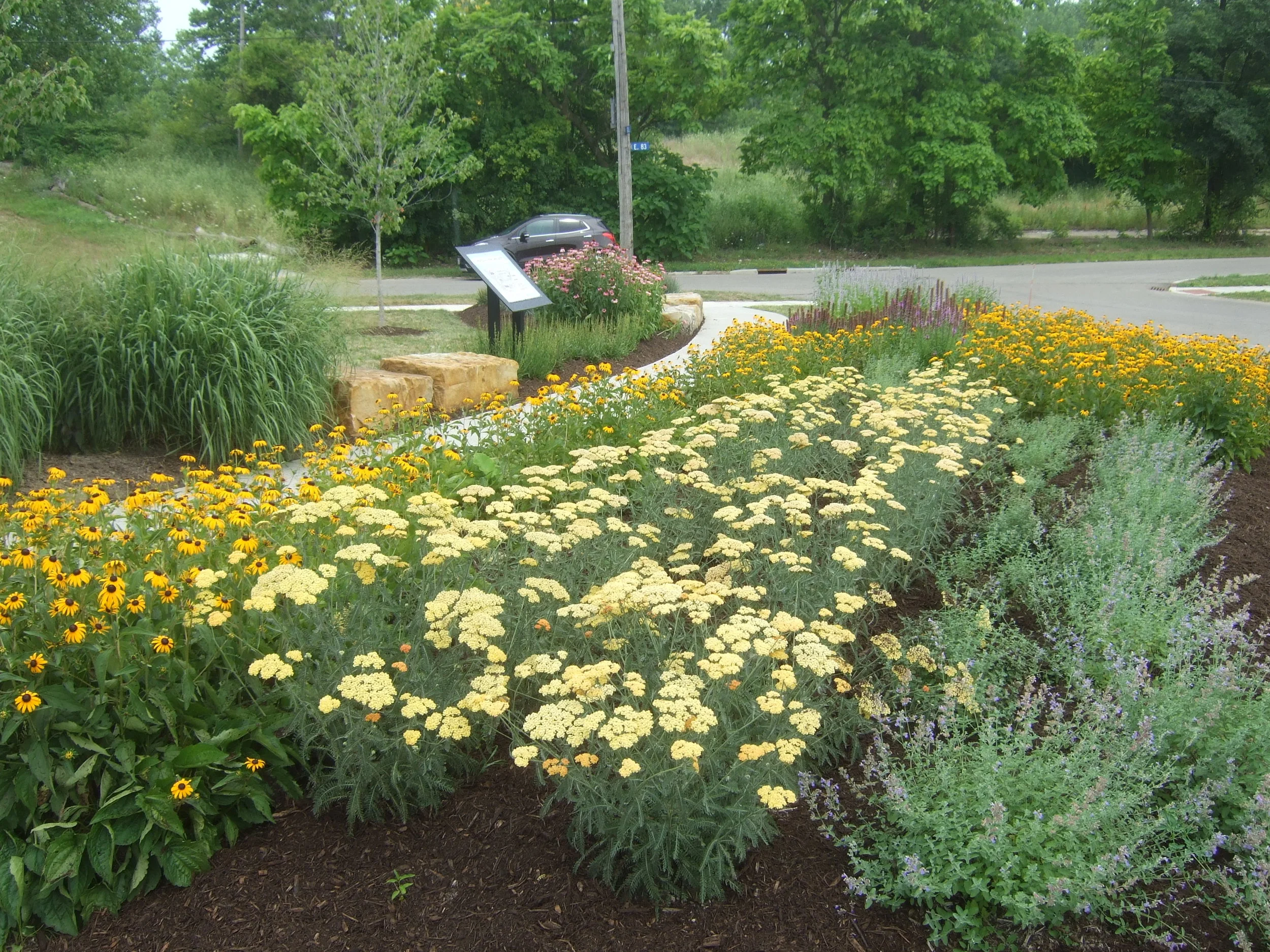 DSCF5402.JPG