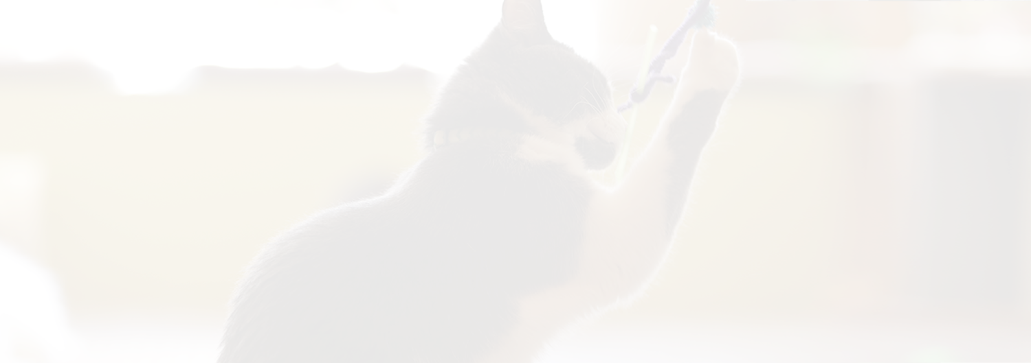 testimonial-banner1.png
