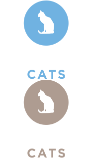 bucket-cats.png