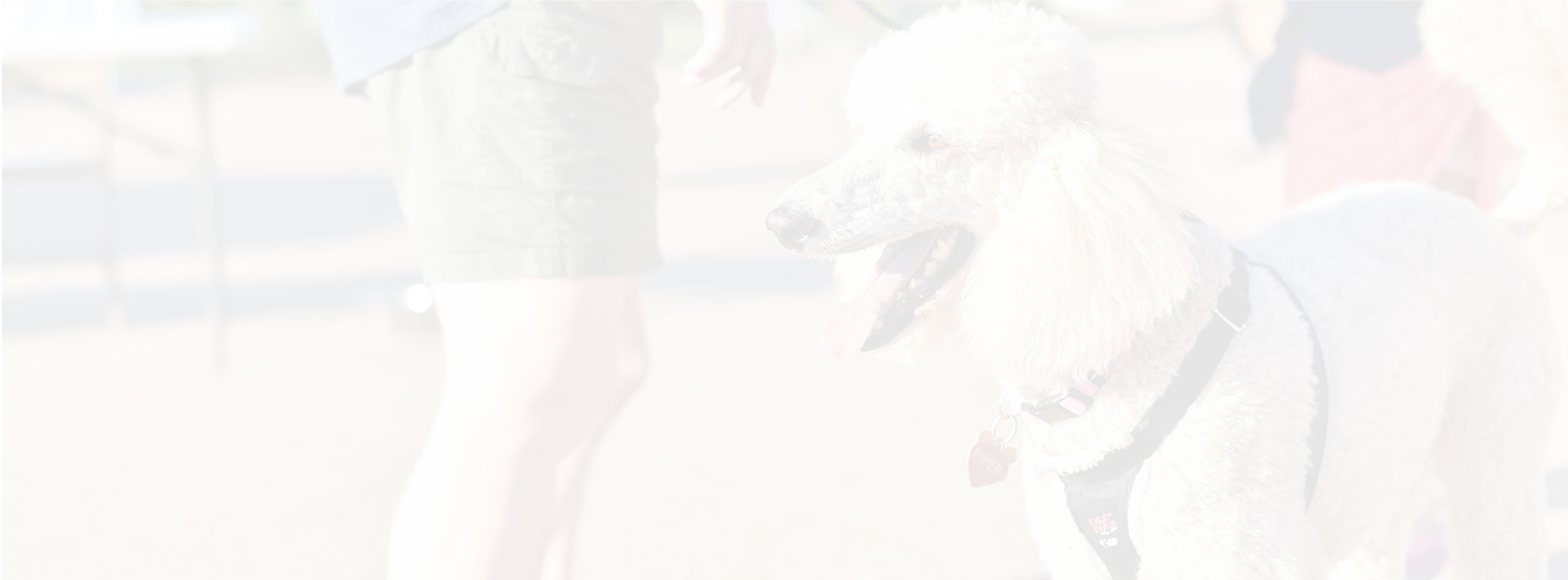 stats-banner.png