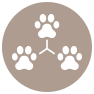 resources-icon.png