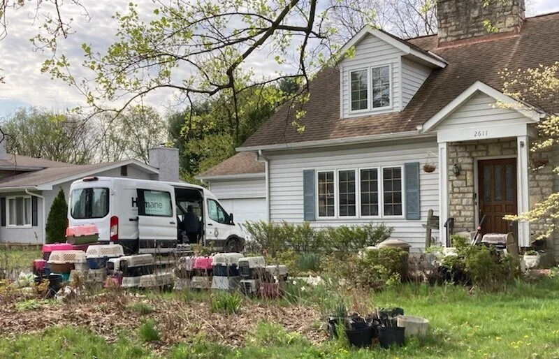 61 Cats Removed from Upper Arlington Home