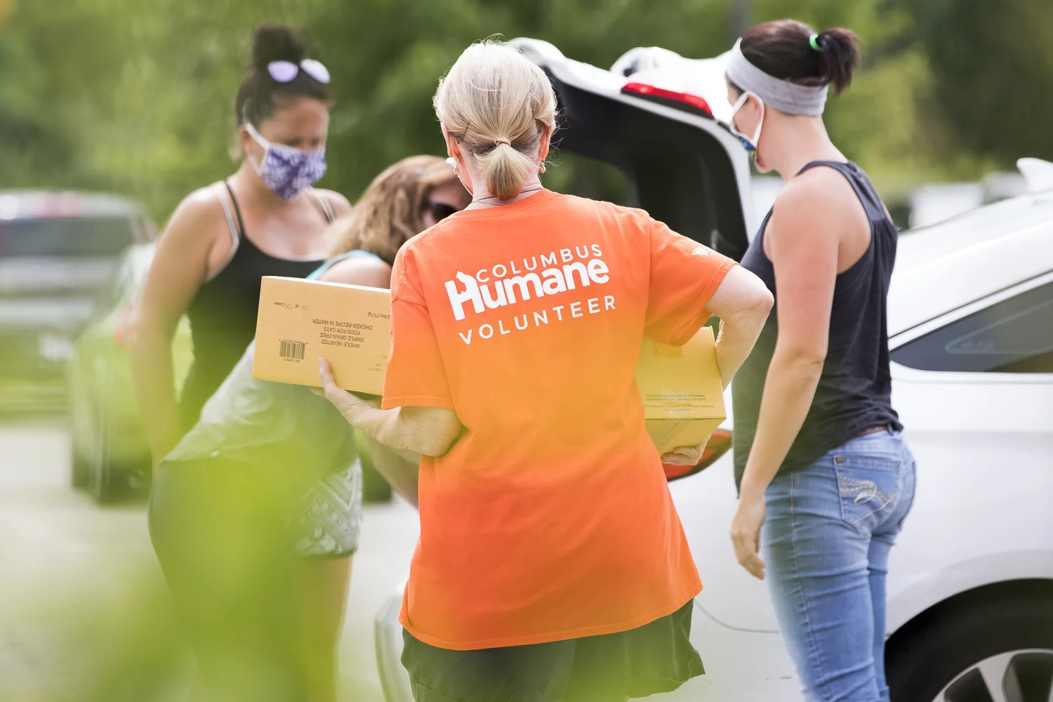 Volunteer and Save an Animal's Life | Columbus Humane — Columbus Humane