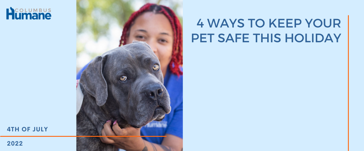 4th of July Pet Safety