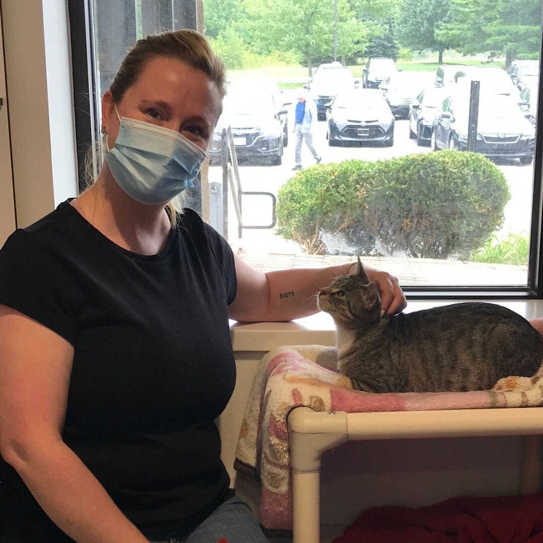 Diversity, Equity and Inclusion — Columbus Humane