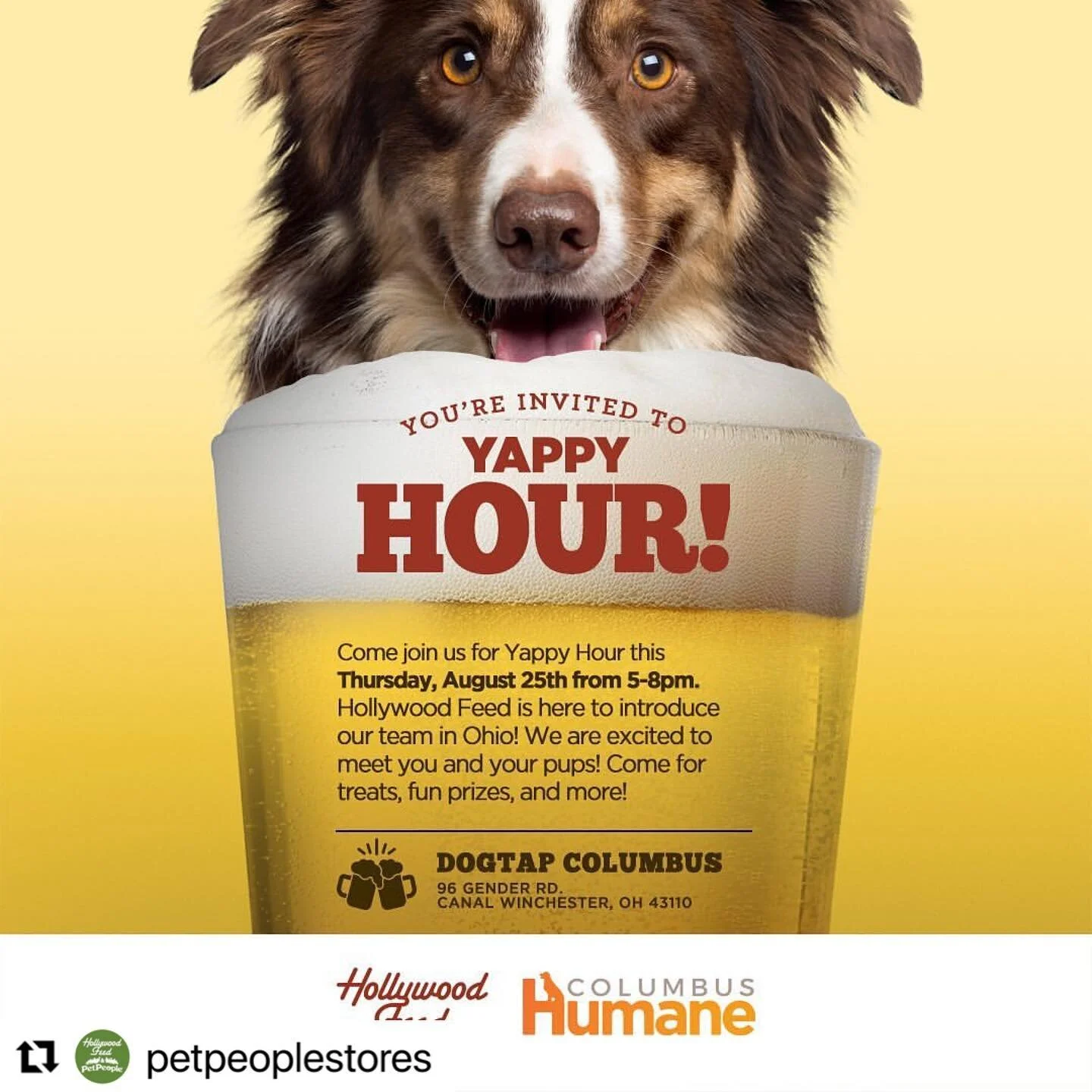 See you tonight!
・・・
Are you in the Columbus area? Make sure to come join us and our friends at @columbushumane for Yappy hour tomorrow at @ohiodogtap ! We can&rsquo;t wait to meet you and your pets! 

To not miss out on future events make sure to fo