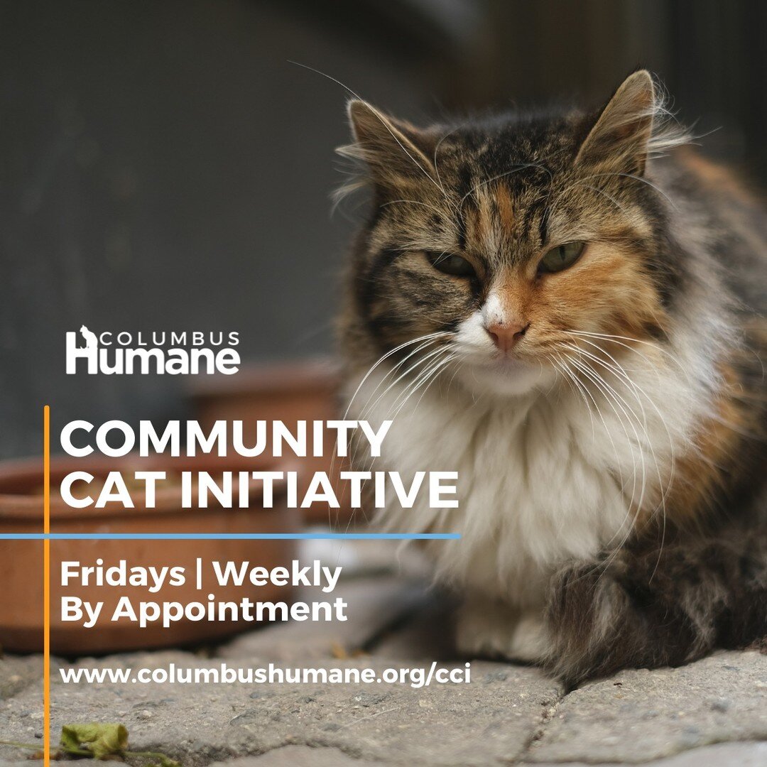 Appointments available weekly to have community cats spayed/neutered and vaccinated! This program is only for cats you are intending to return to the community, not for pet cats. To sign-up and review all details, click the link below.

The Community