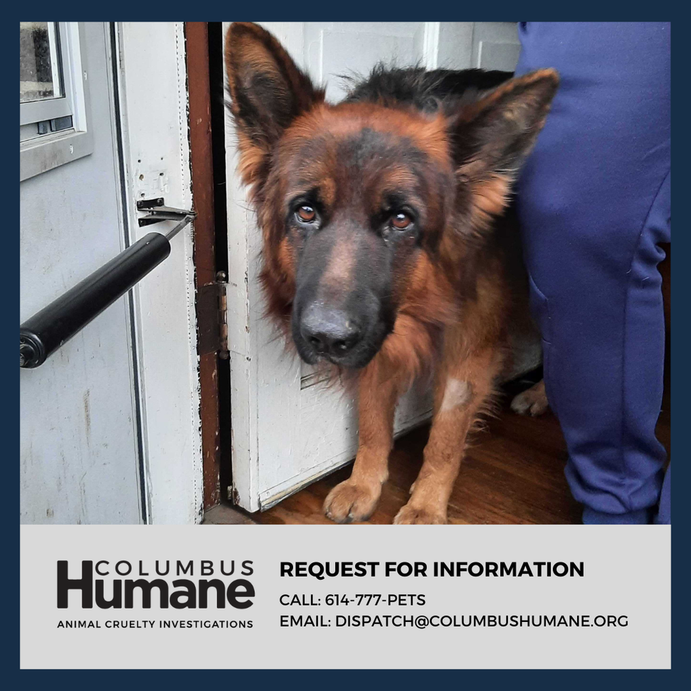 Columbus Humane Offers Reward for Information in Violent Acts of Animal ...