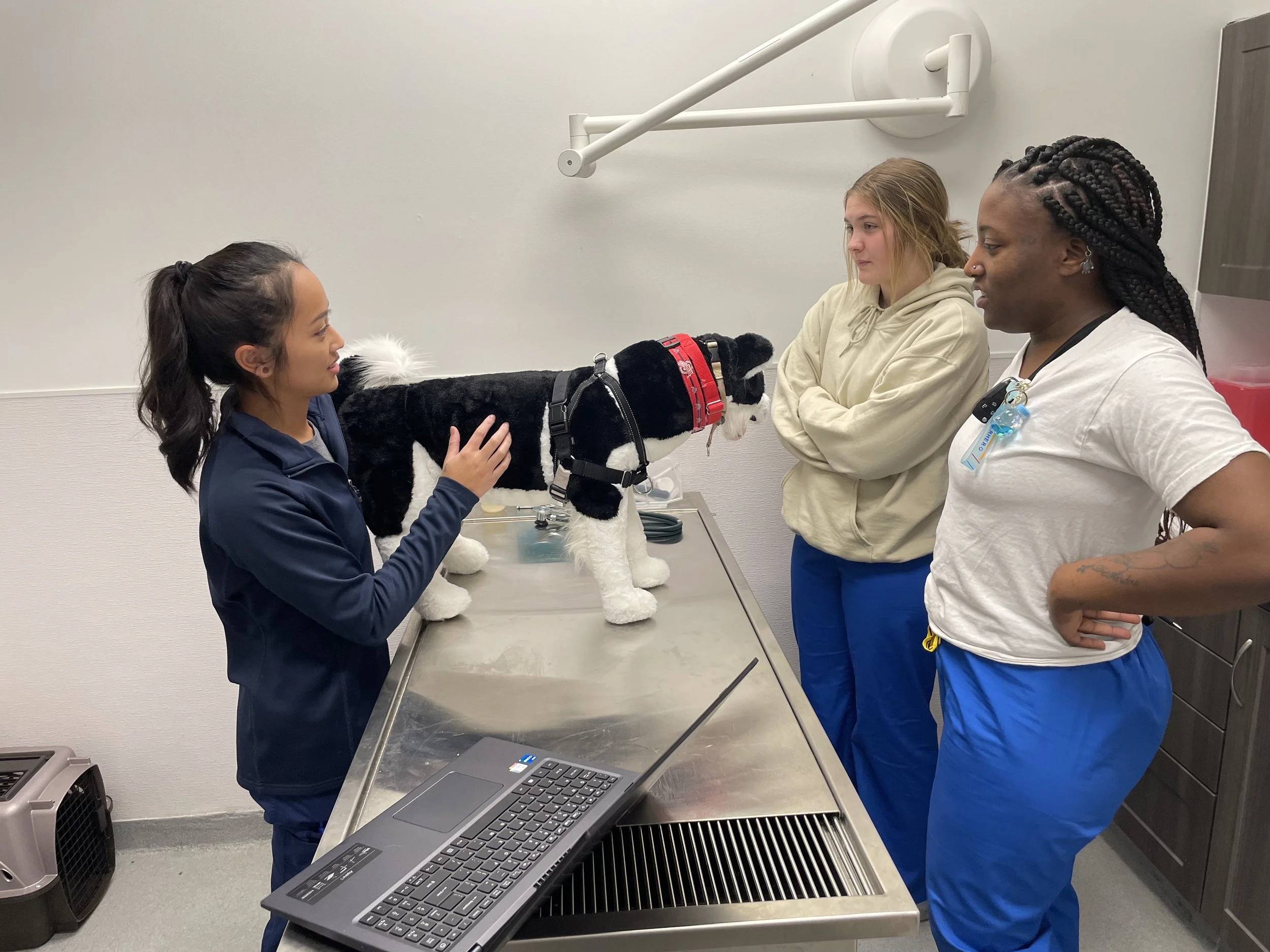 Veterinary Services at Columbus Humane — Columbus Humane