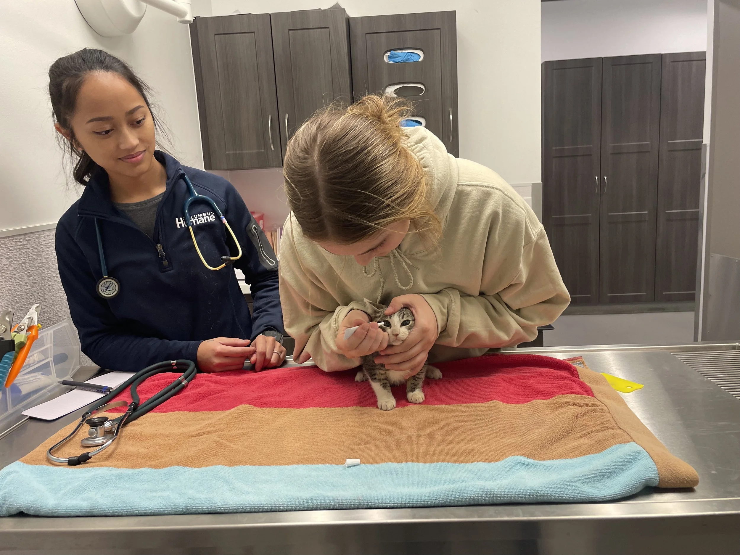 Veterinary Services at Columbus Humane — Columbus Humane