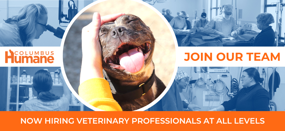 WEB BANNERS (11).png