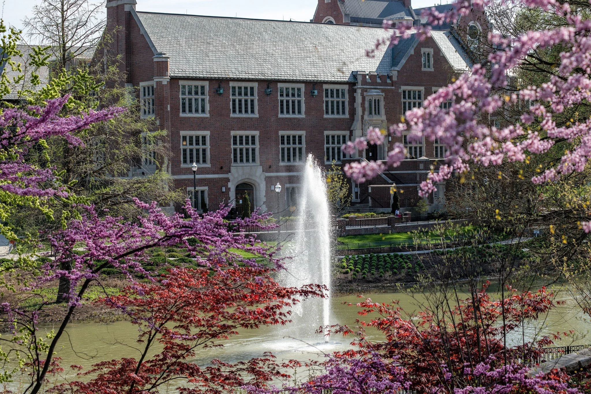 OSU Dog Days of Summer