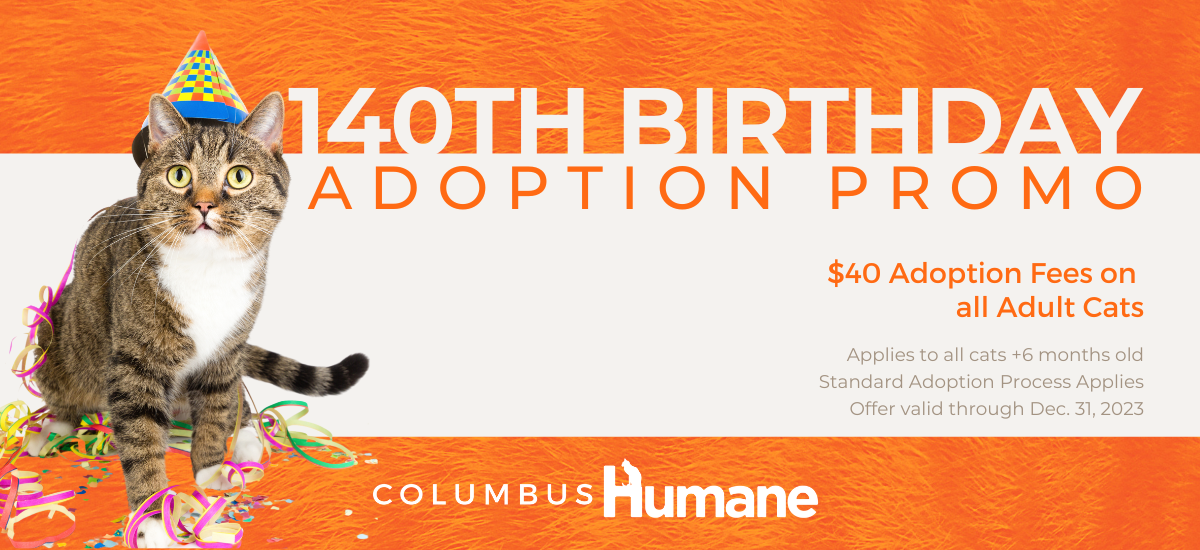 Cat Adoption - Humane Ohio