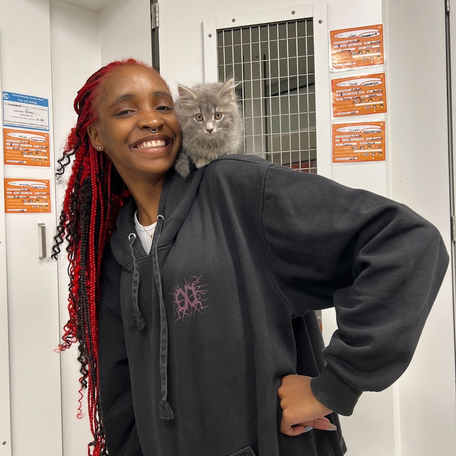 Congratulations to the 53 animals who found new homes last week! Three cheers for: Renesmee, J.K., Wool, Silk, Clover, HoneySuckle, Minx, Maisy, Mimi, Victoria, Mars, Bebe, Chi Chi, Daisy, Gem, Angel, Linen, Polly, Sylvester, Kitty, Bill, Todd, Natas