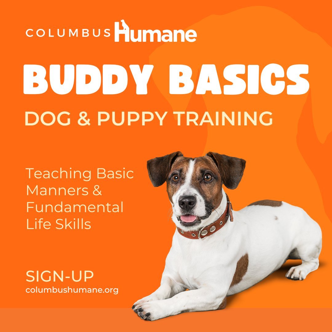 Calling all dog owners 🐶‼️ Columbus Humane dog training now open! Classes begin May 2, 2024.

Introducing, Buddy Basics: Dog and Puppy Training. Positive reinforcement training conducted by certified dog trainers from Columbus Humane.

Learn more an
