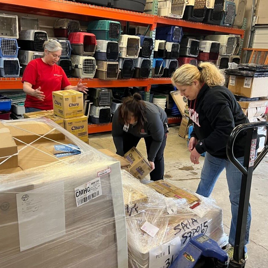 Our friends from @osuwexmed volunteered recently and showed us that a lot can be achieved with excellent teamwork! They accomplished many tasks in only two hours, organized all the carriers and supplies, made enrichment and folded laundry. They even 