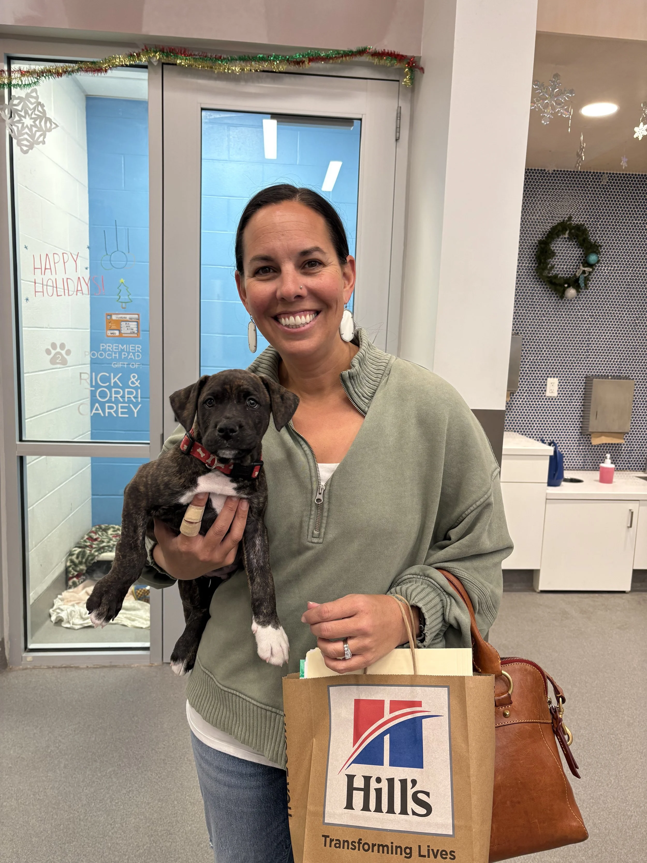 Image - 2025-12-16T161243.680.jpg