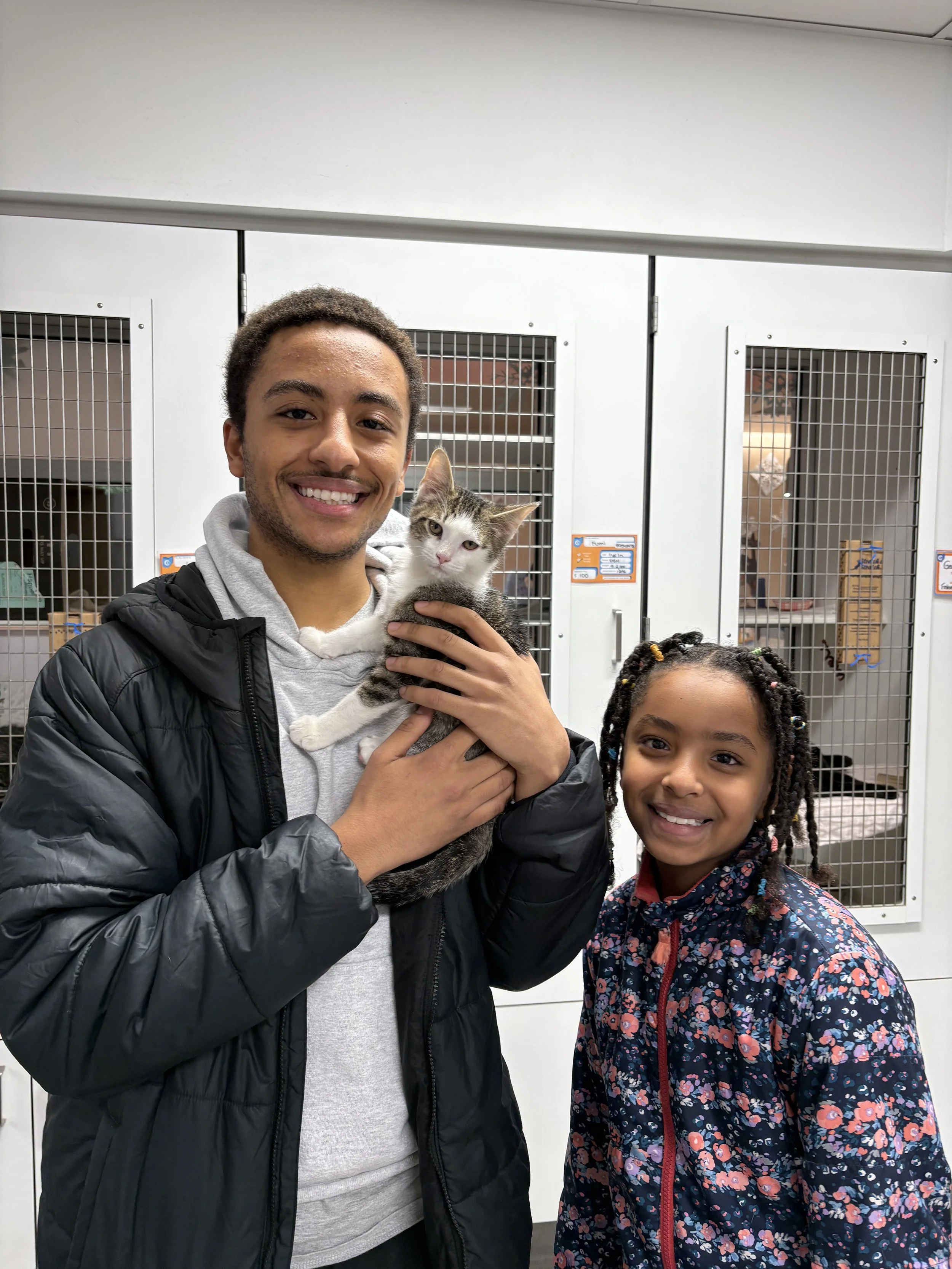 Image - 2025-12-16T161541.632.jpg