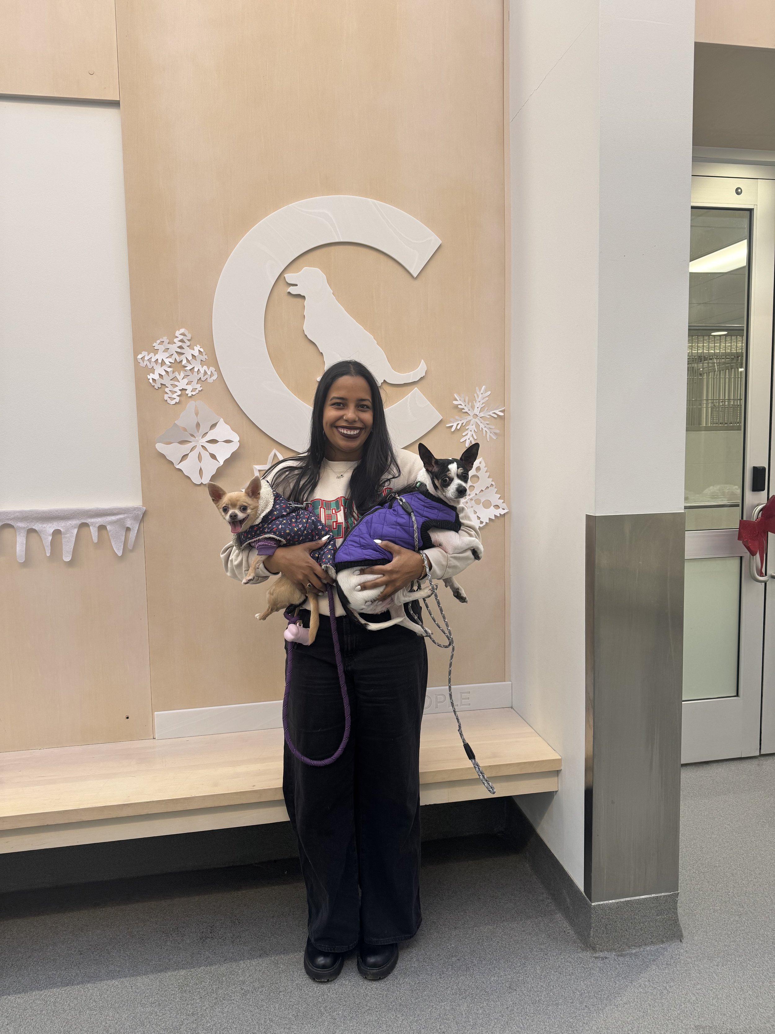 Image - 2025-12-16T161219.360.jpg