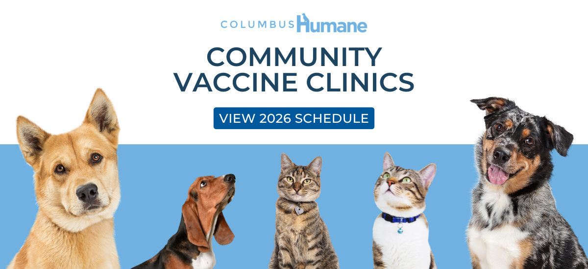 WEB BANNERS (12).png